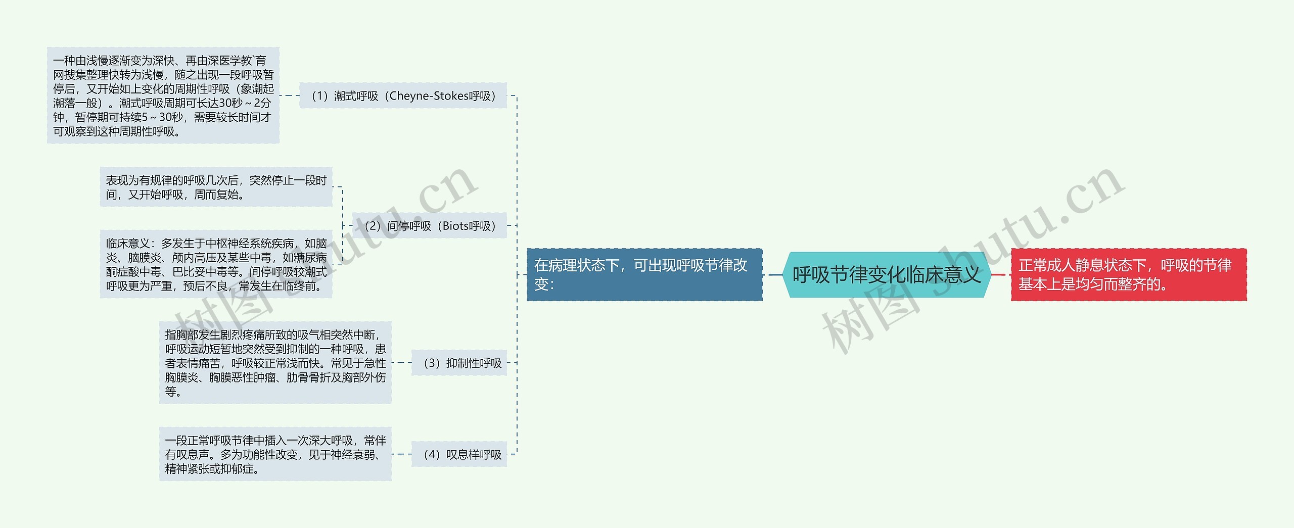 呼吸节律变化临床意义思维导图