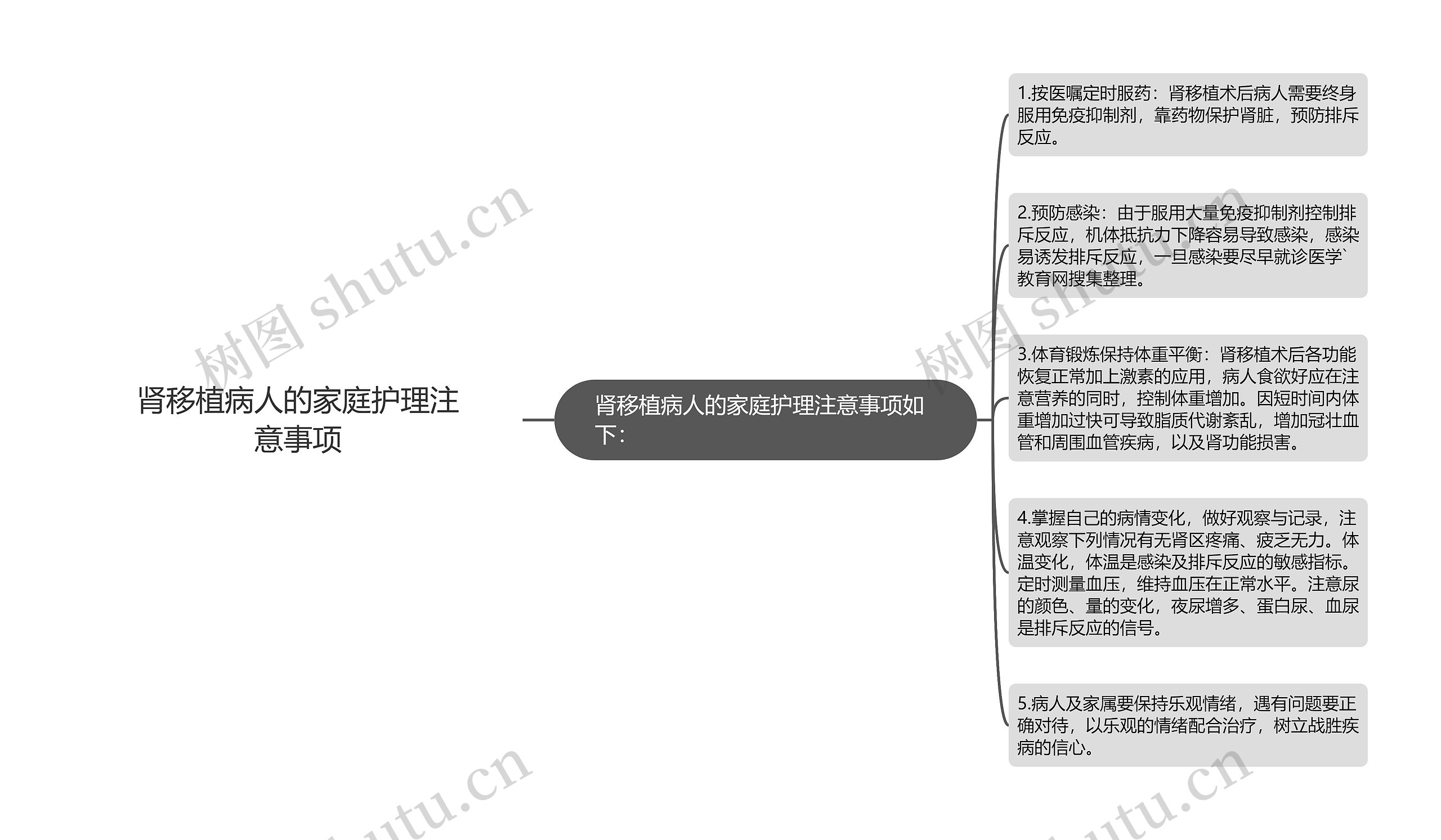 肾移植病人的家庭护理注意事项思维导图