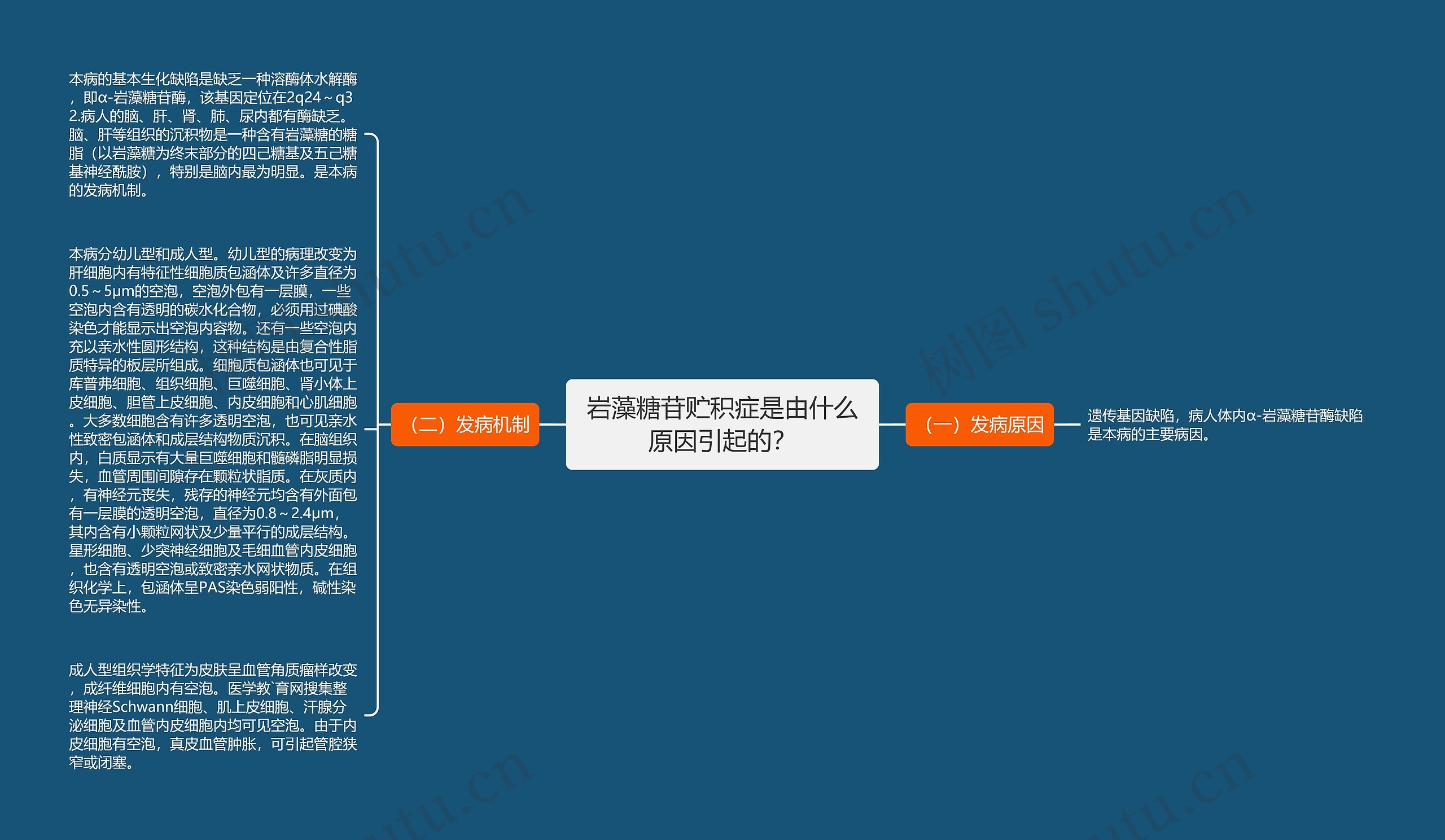 岩藻糖苷贮积症是由什么原因引起的？