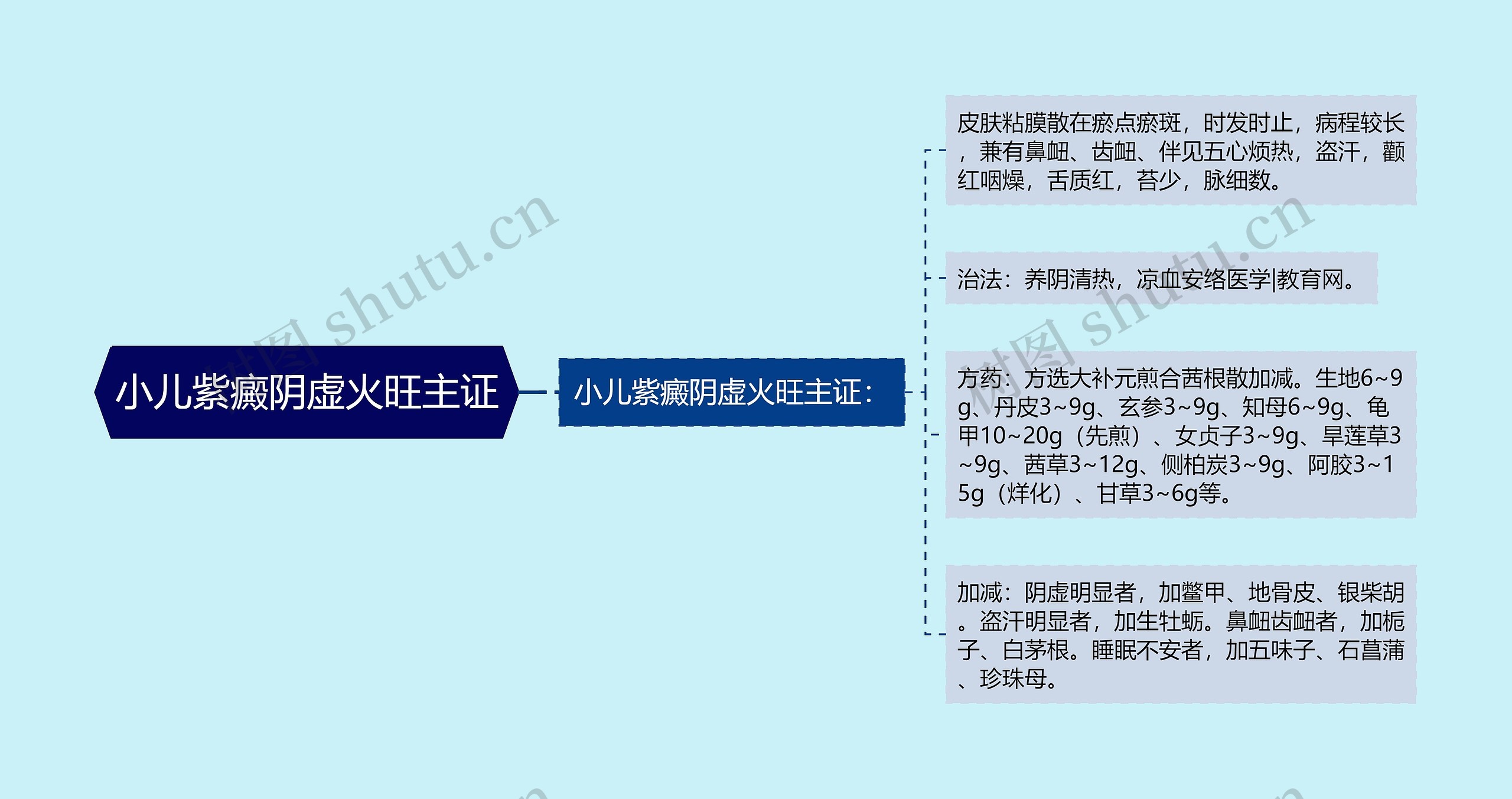 小儿紫癜阴虚火旺主证思维导图