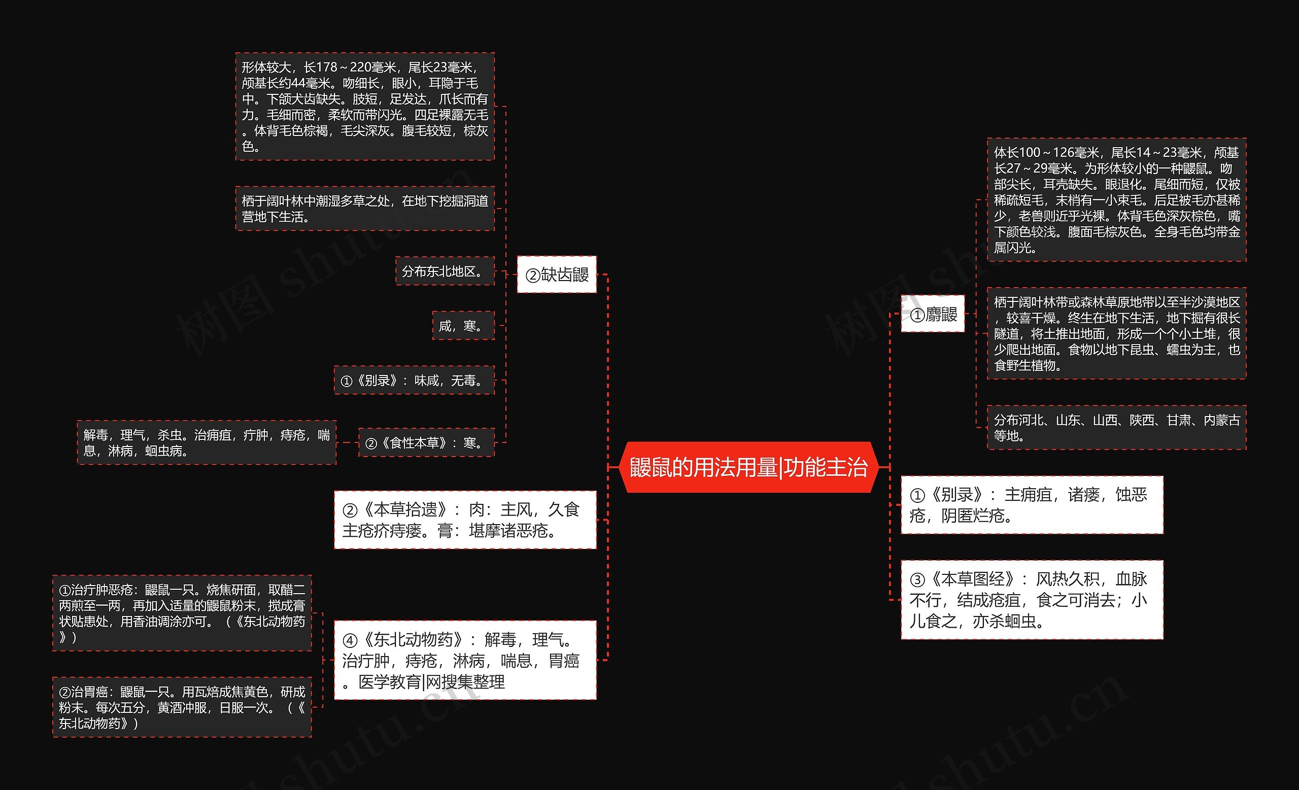 鼹鼠的用法用量|功能主治