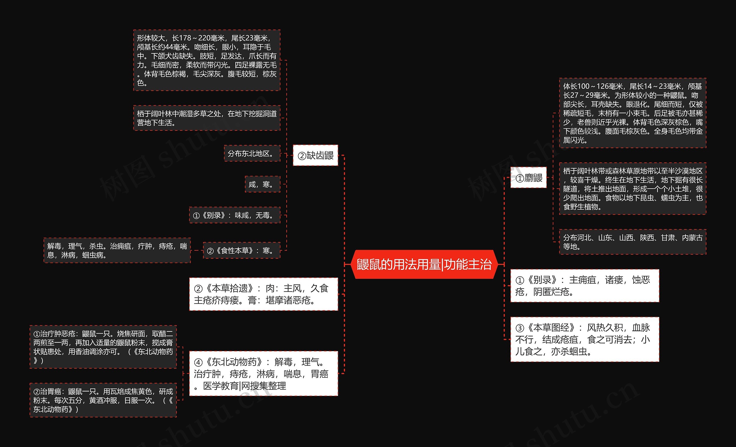 鼹鼠的用法用量|功能主治思维导图