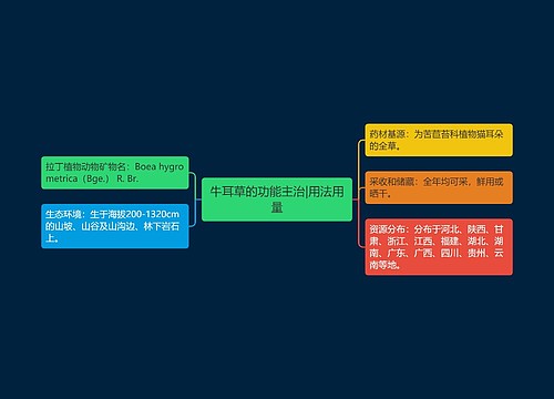 牛耳草的功能主治|用法用量