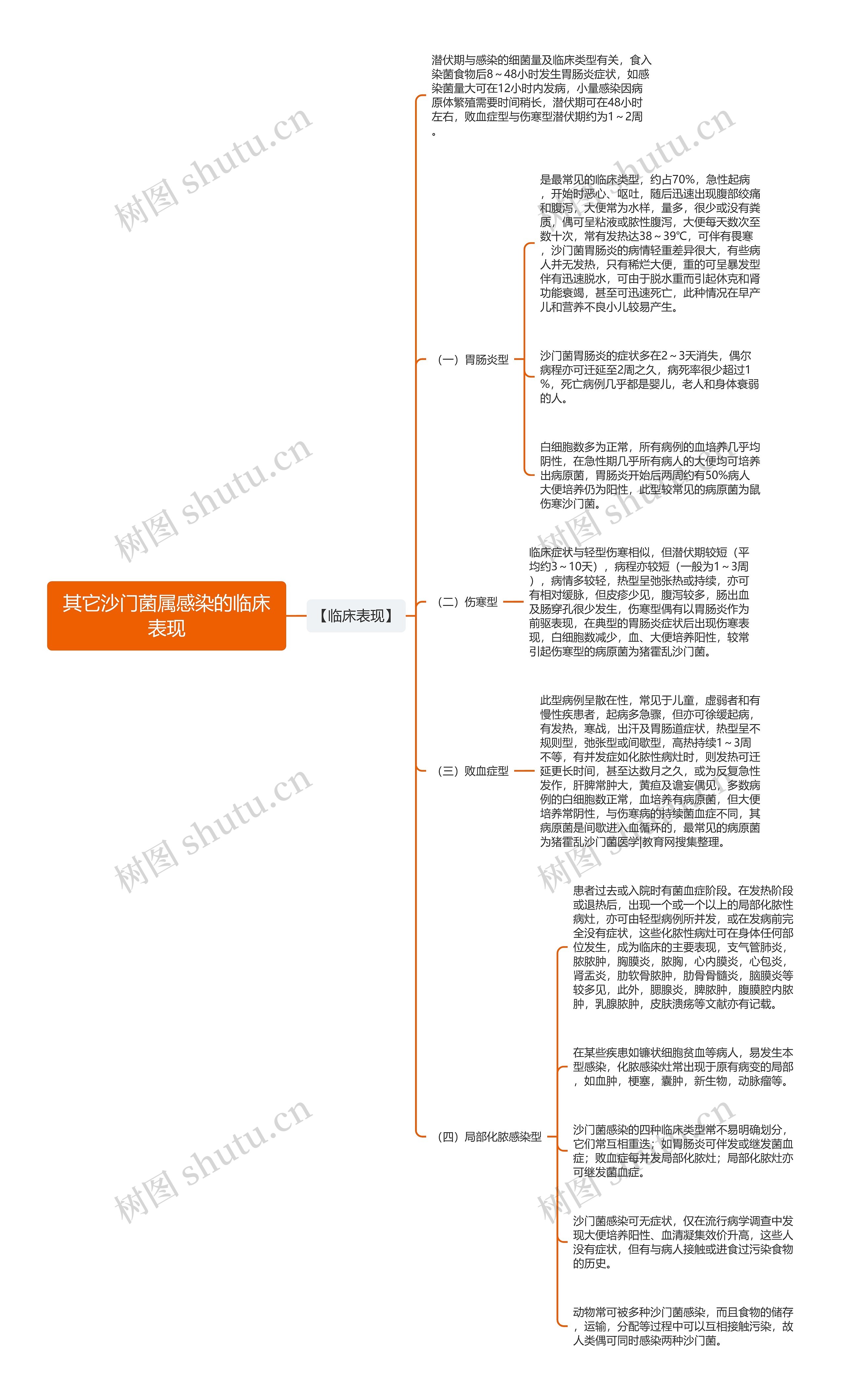 其它沙门菌属感染的临床表现思维导图