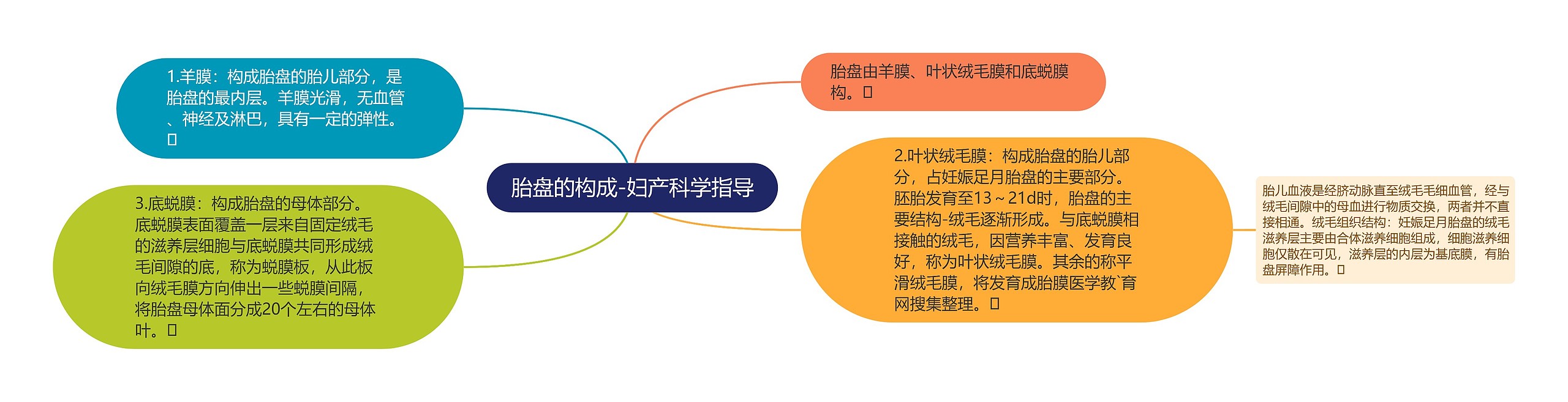 胎盘的构成-妇产科学指导 胎盘的构成-妇产科学指导