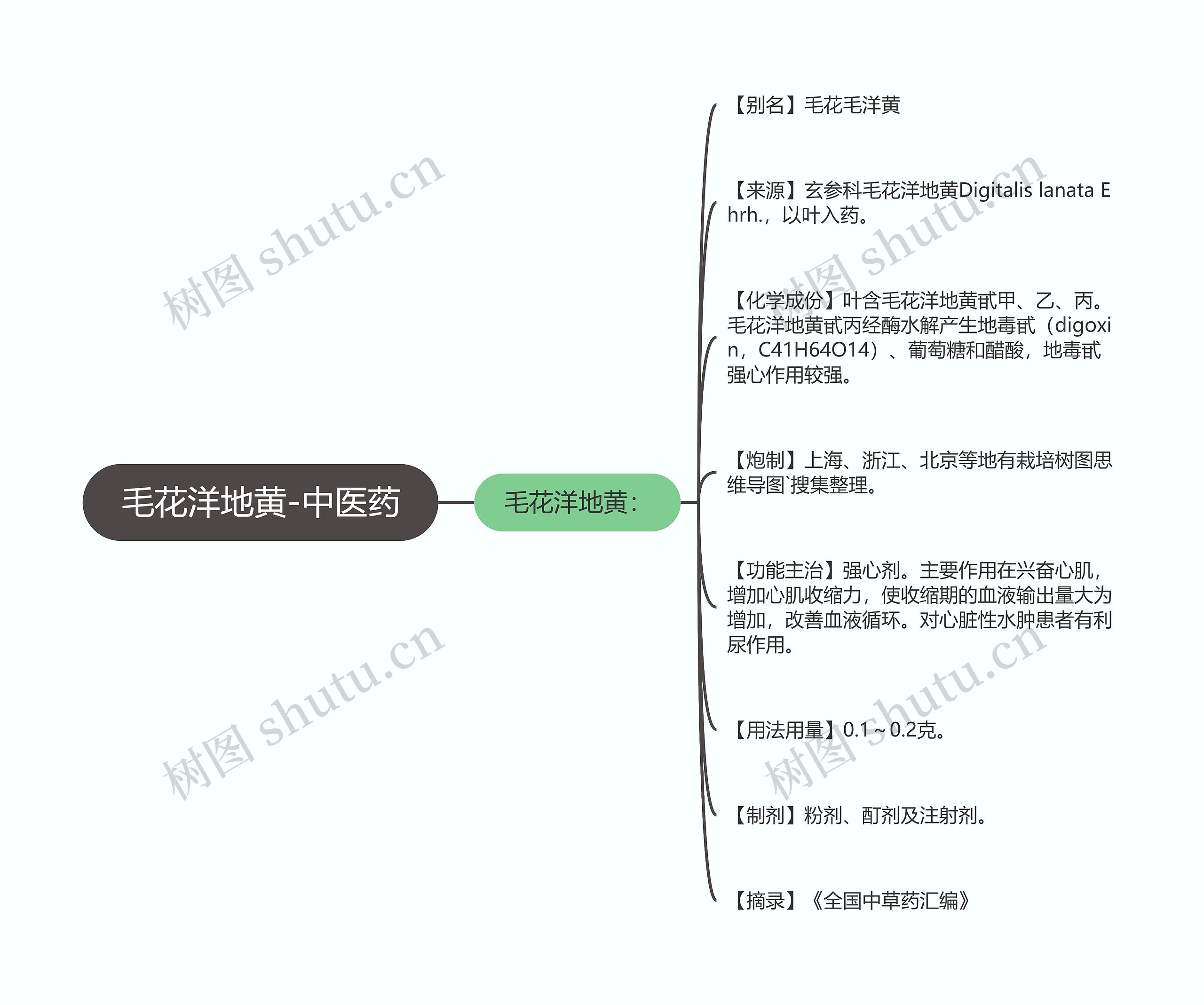 毛花洋地黄-中医药