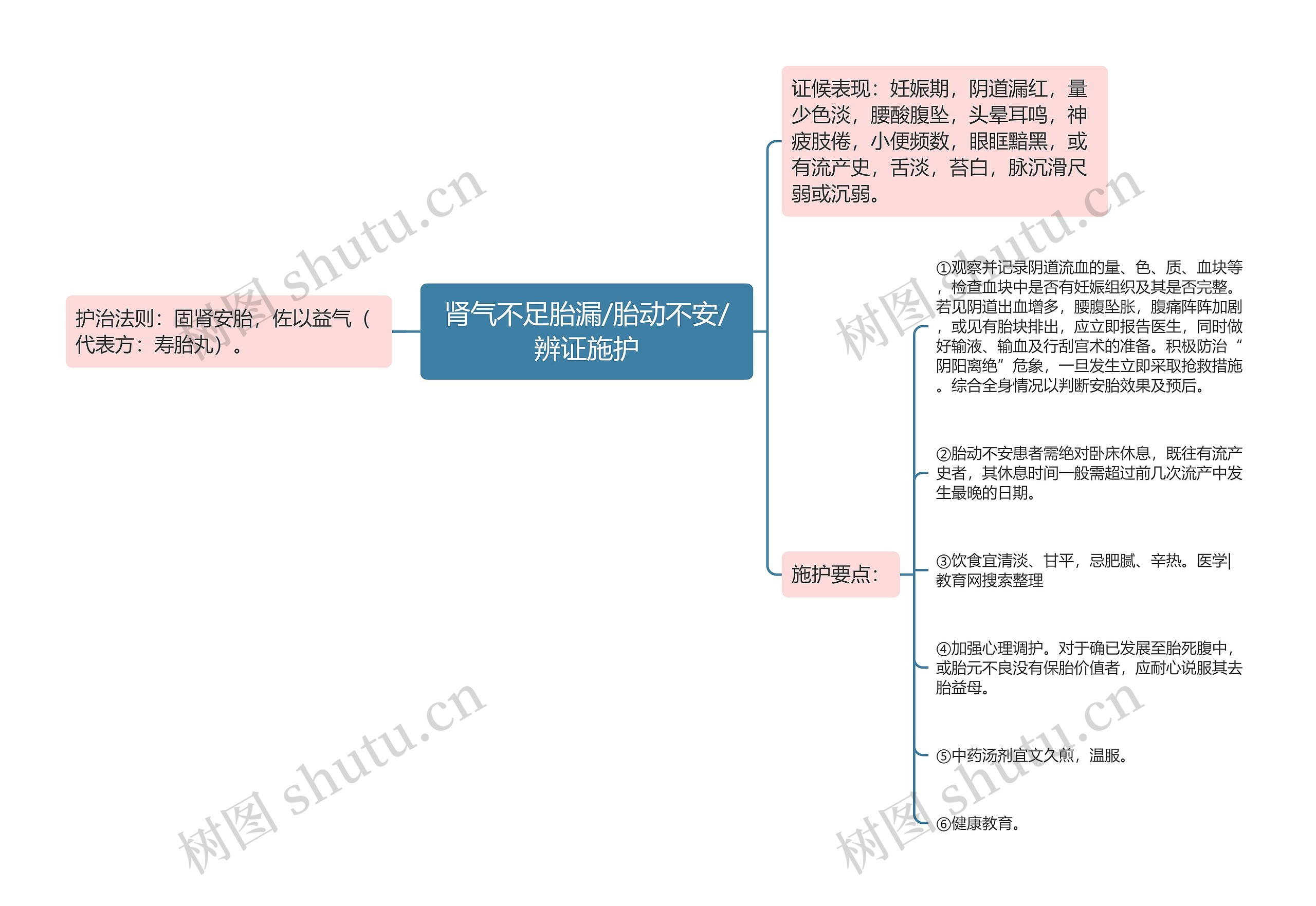 肾气不足胎漏/胎动不安/辨证施护思维导图