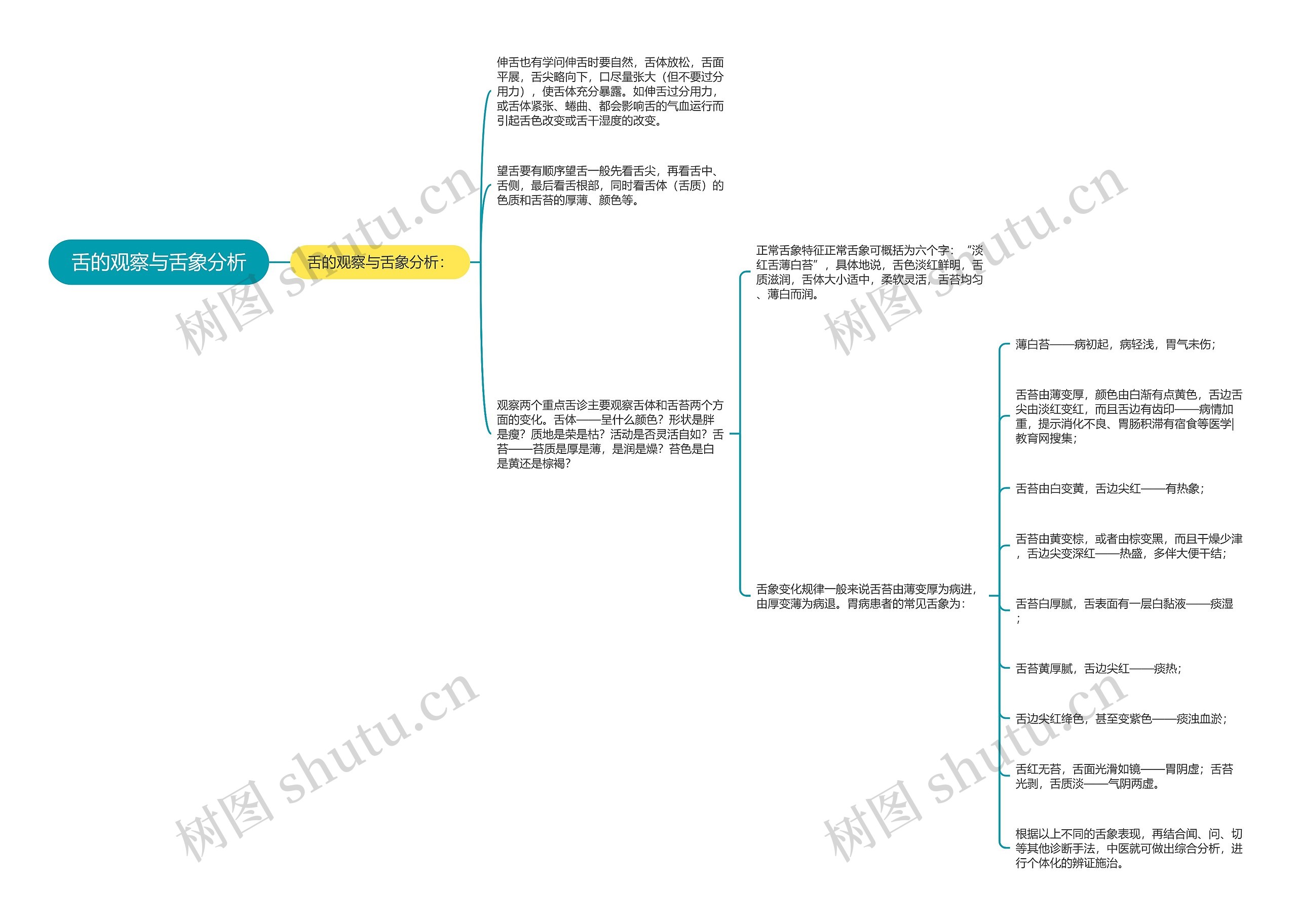 舌的观察与舌象分析思维导图
