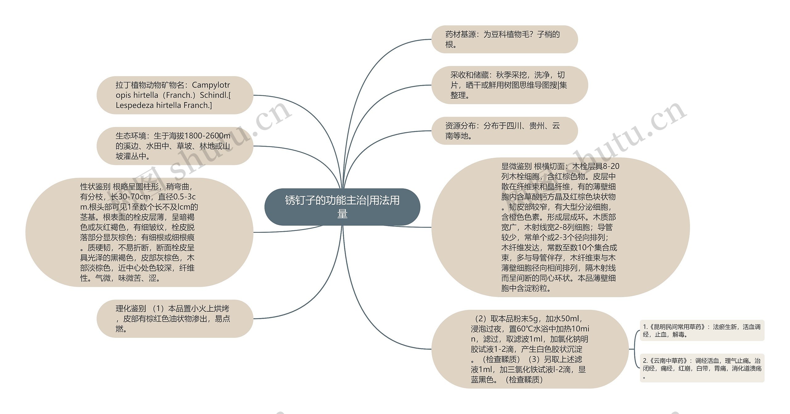 锈钉子的功能主治|用法用量思维导图