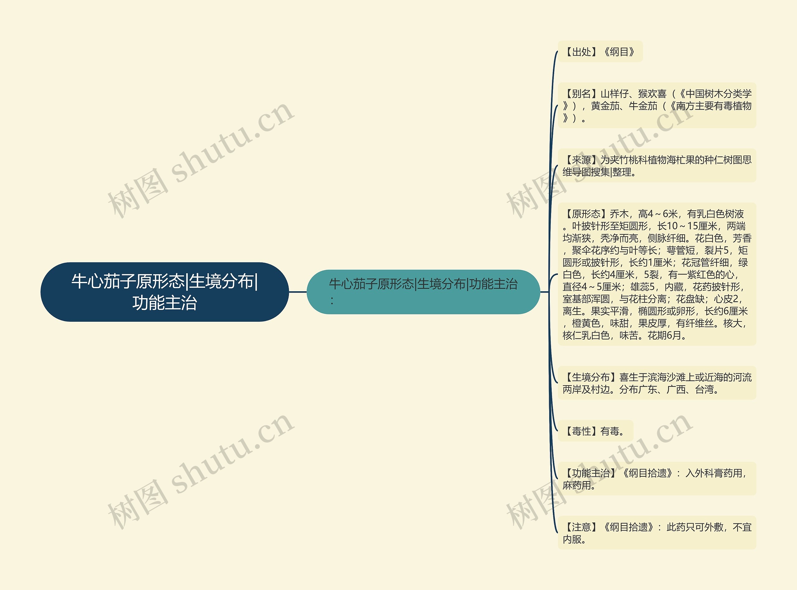 牛心茄子原形态|生境分布|功能主治思维导图