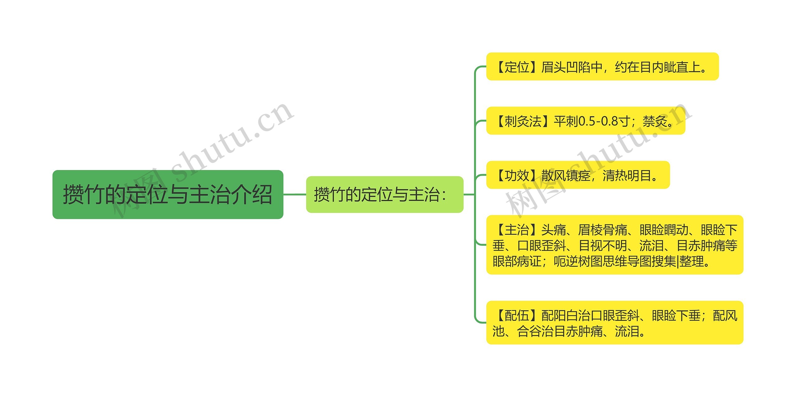 攒竹的定位与主治介绍思维导图