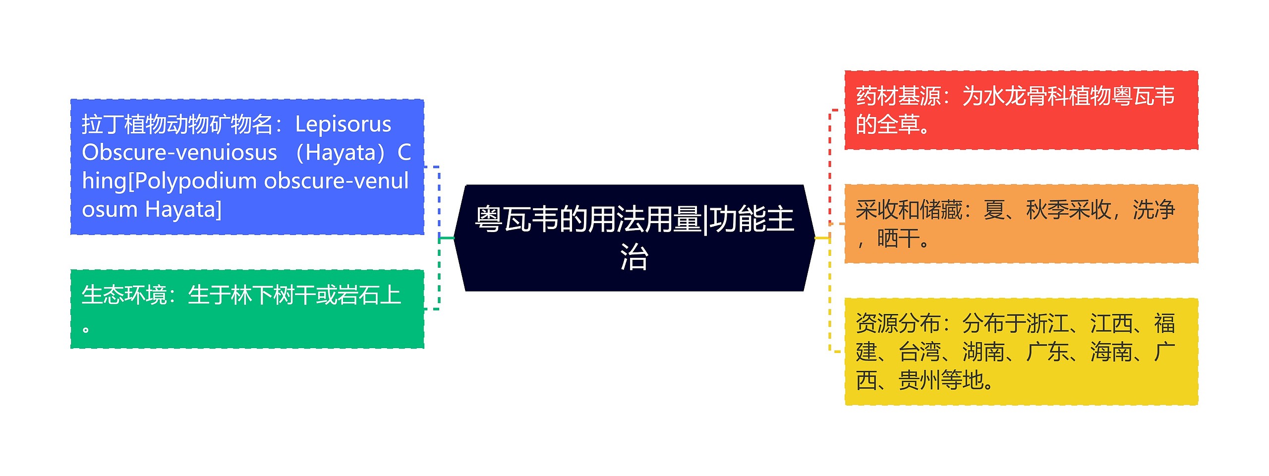 粤瓦韦的用法用量|功能主治思维导图