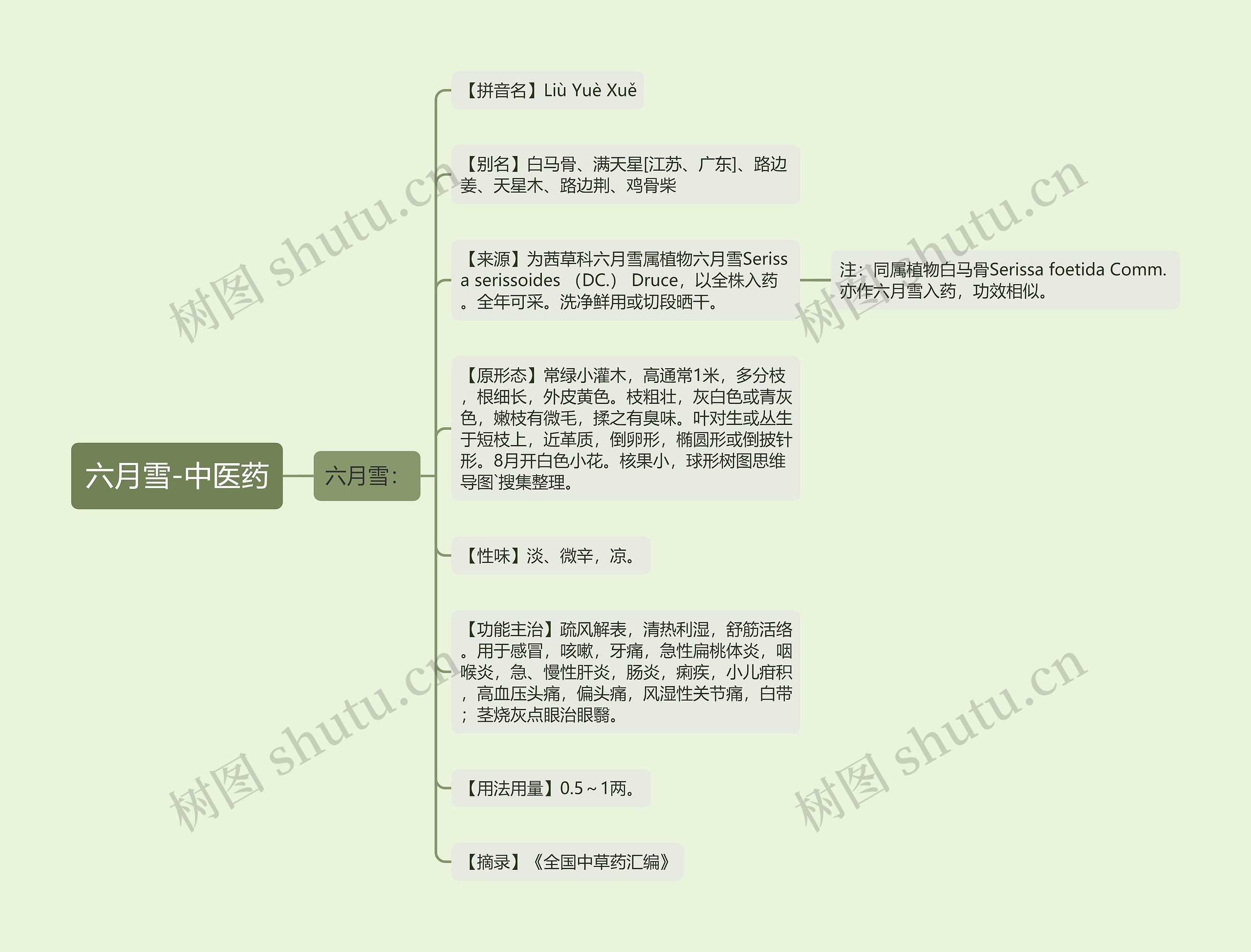 六月雪-中医药 六月雪-中医药