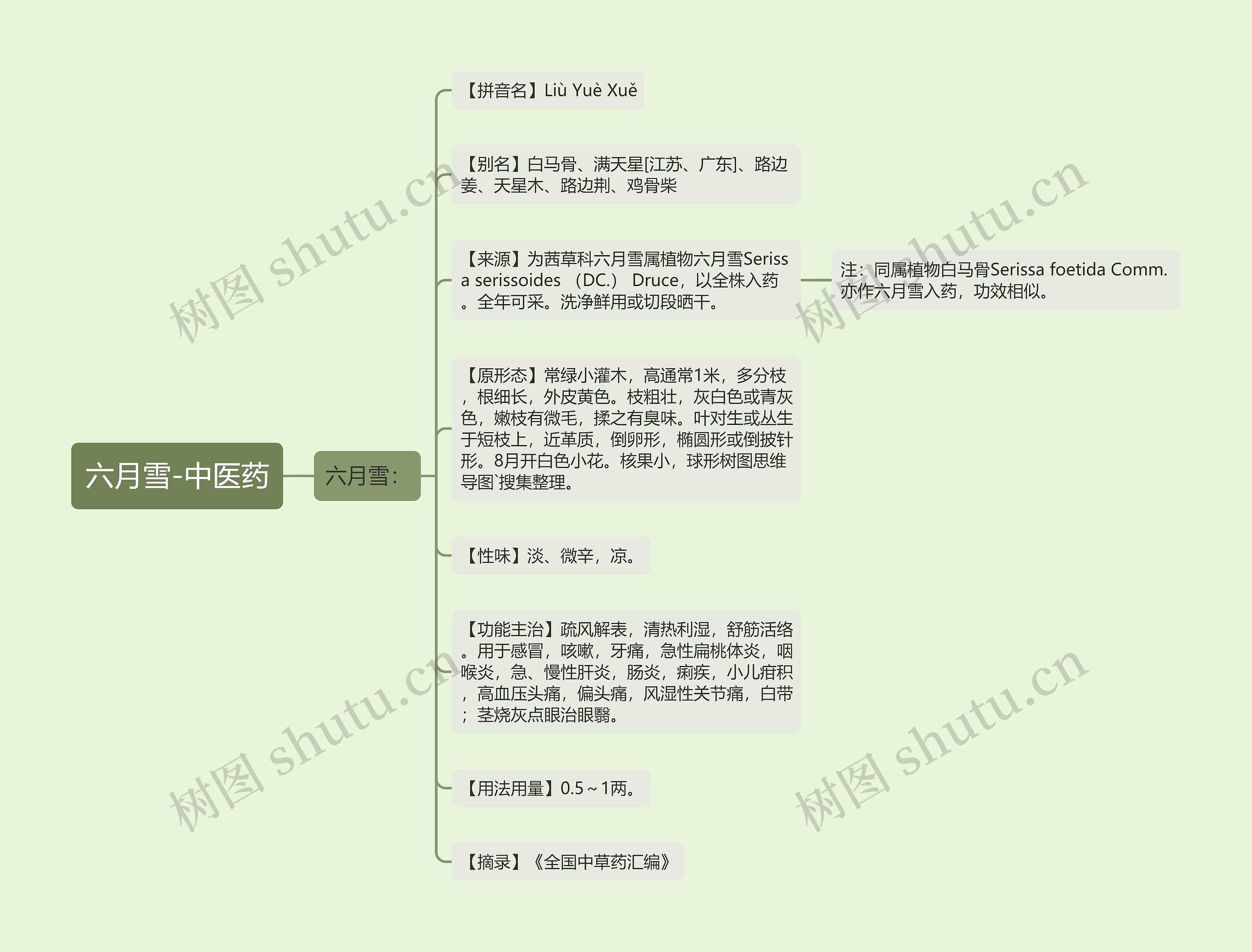 六月雪-中医药思维导图
