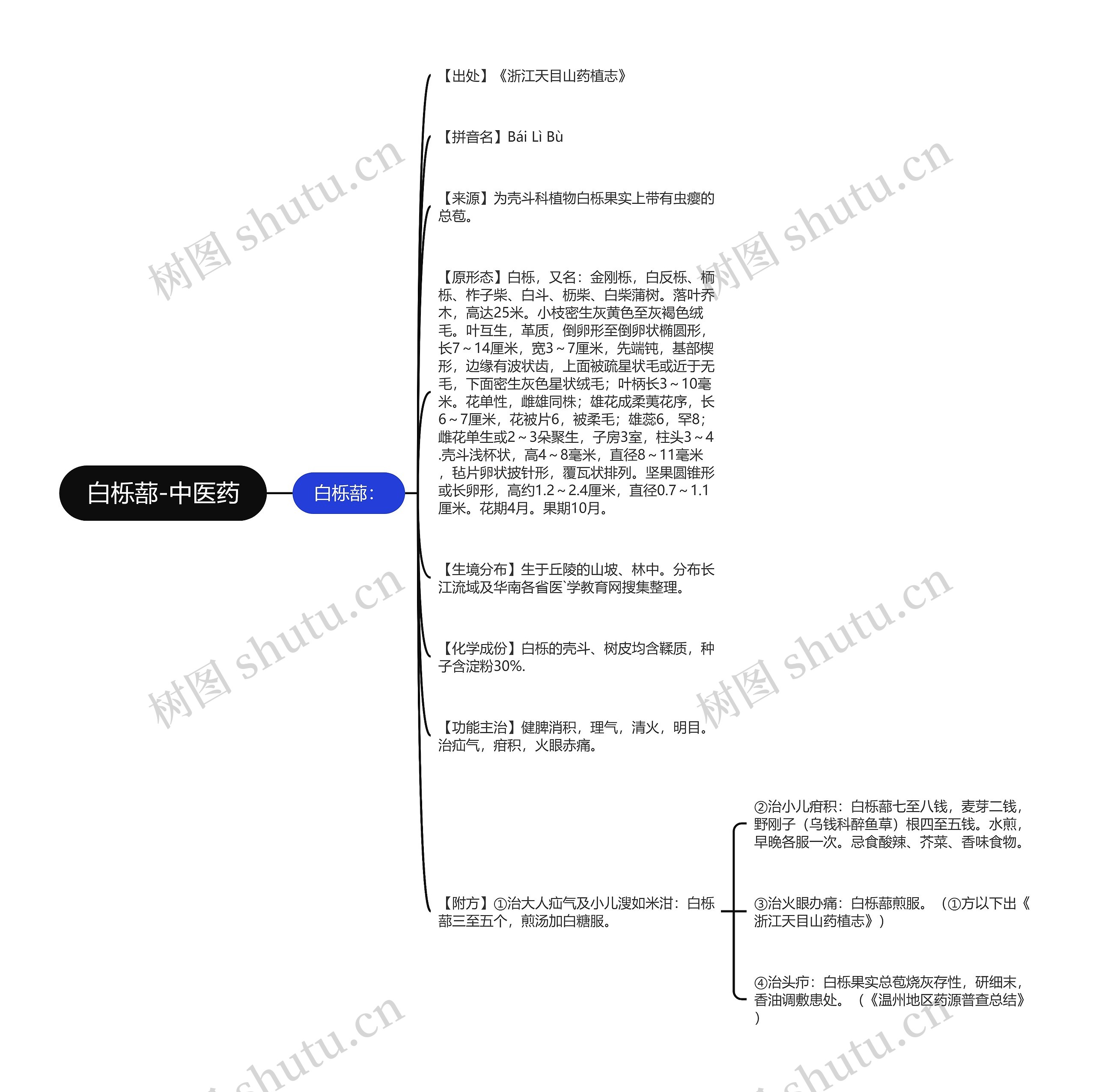 白栎蔀-中医药思维导图