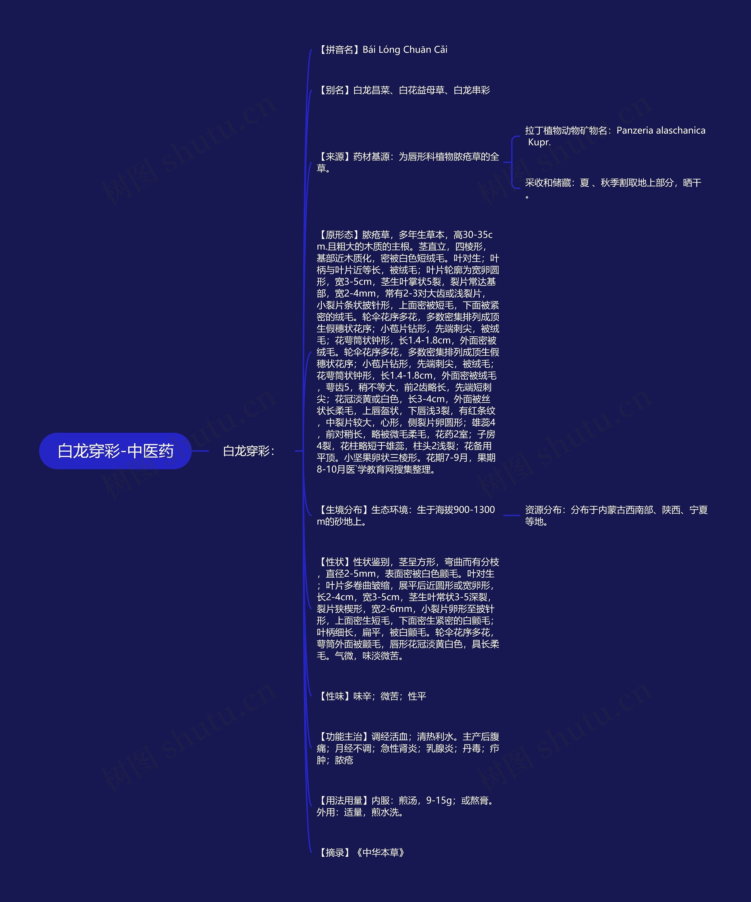 白龙穿彩-中医药思维导图