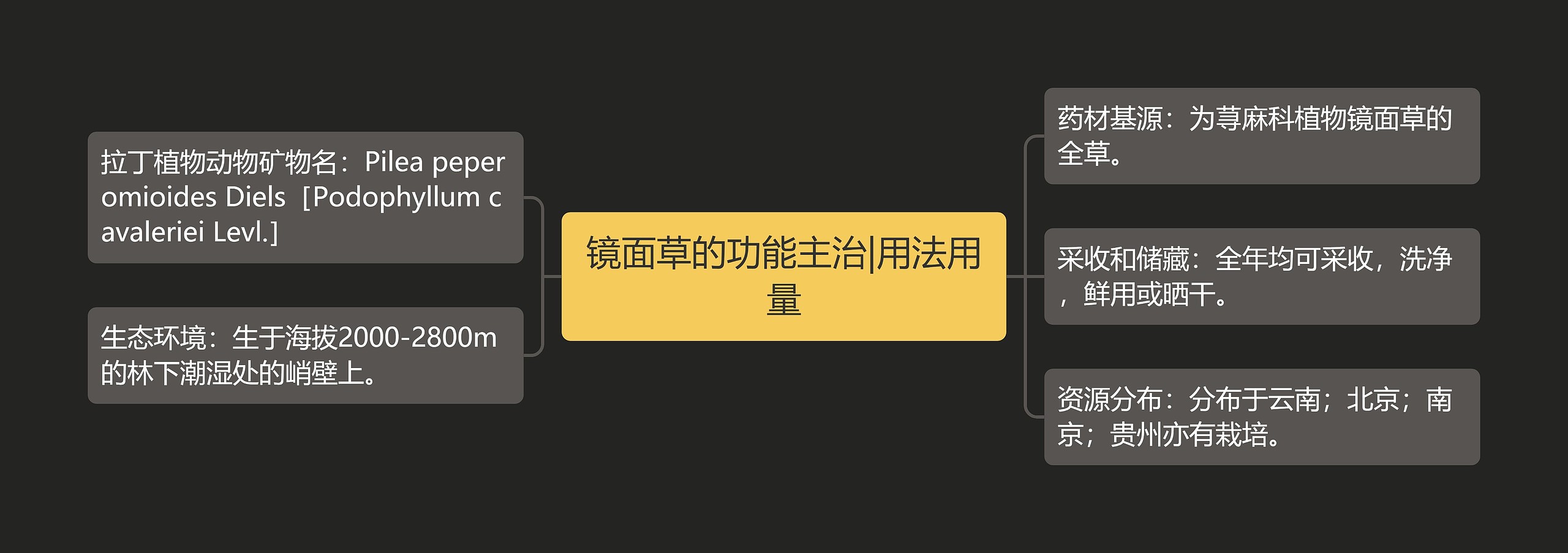 镜面草的功能主治|用法用量 镜面草的功能主治|用法用量