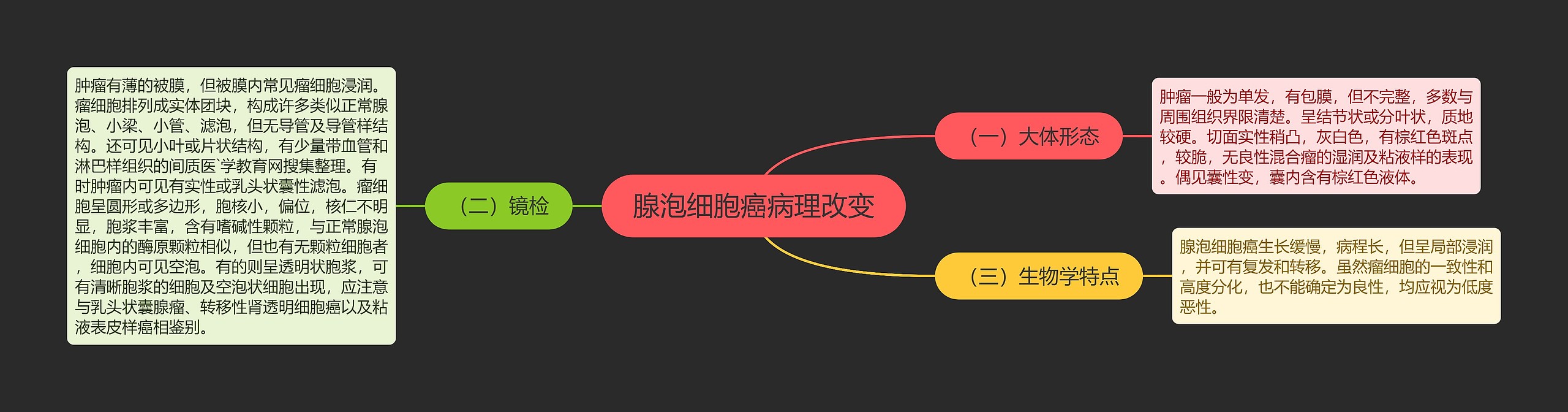 腺泡细胞癌病理改变 腺泡细胞癌病理改变
