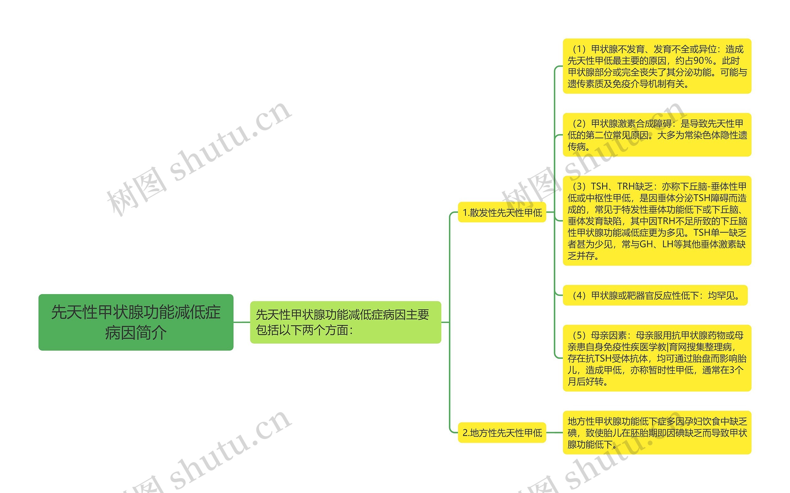 先天性甲状腺功能减低症病因简介 先天性甲状腺功能减低症病因简介
