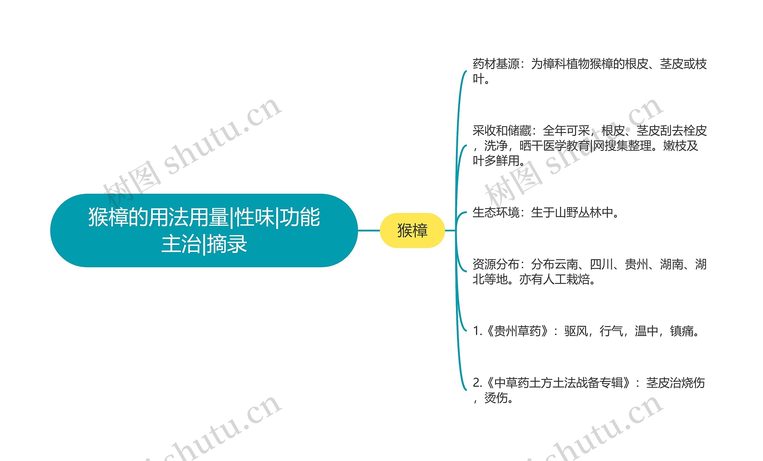 猴樟的用法用量|性味|功能主治|摘录思维导图