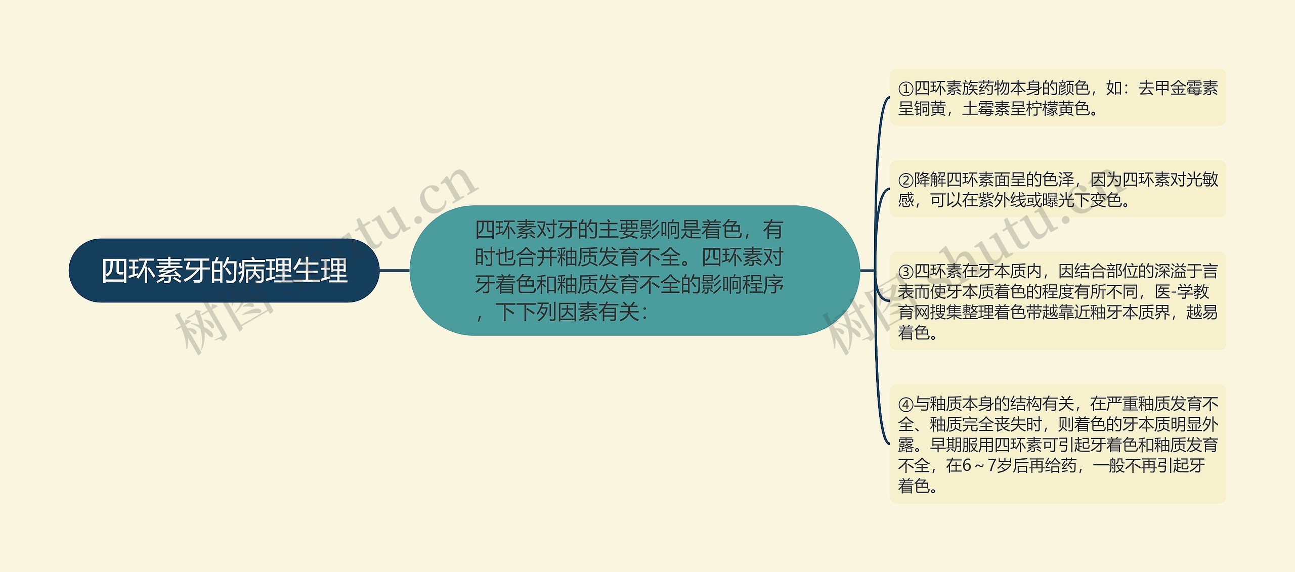四环素牙的病理生理 四环素牙的病理生理
