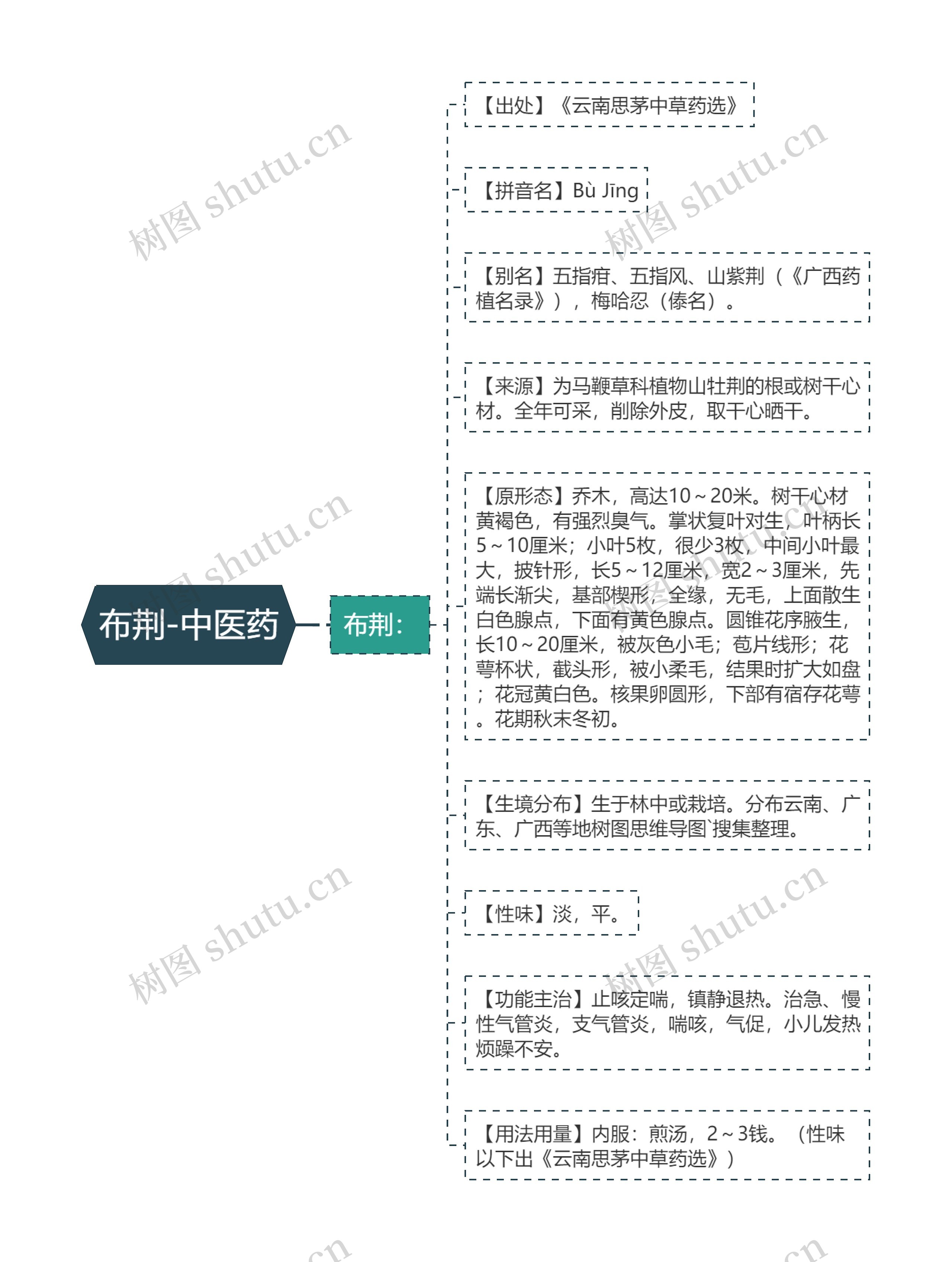 布荆-中医药思维导图