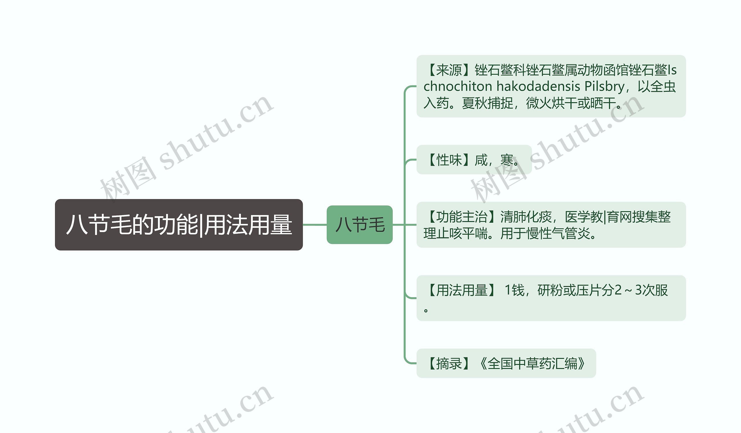 八节毛的功能|用法用量思维导图