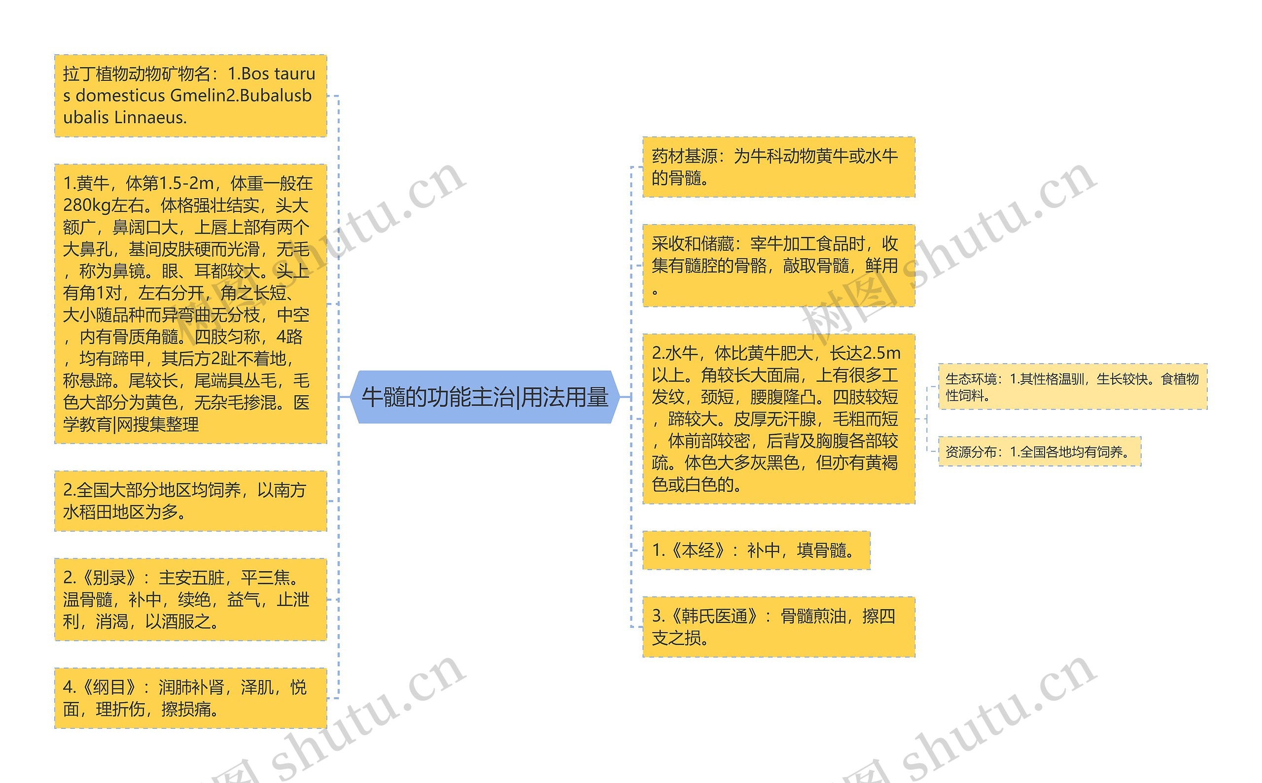 牛髓的功能主治|用法用量思维导图