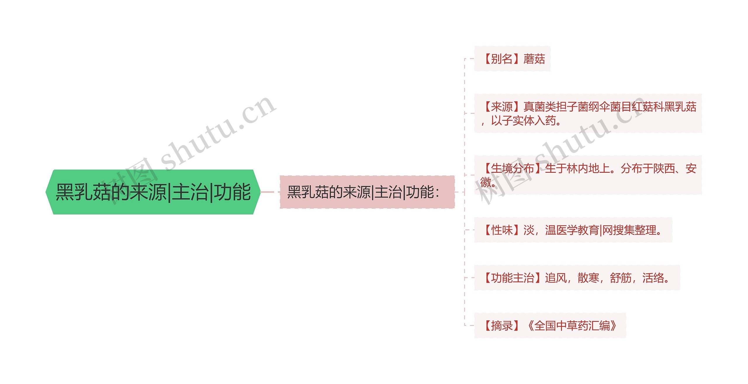 黑乳菇的来源|主治|功能 黑乳菇的来源|主治|功能