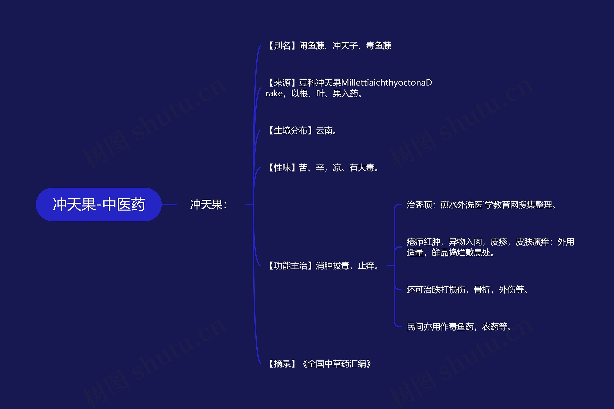 冲天果-中医药 冲天果-中医药