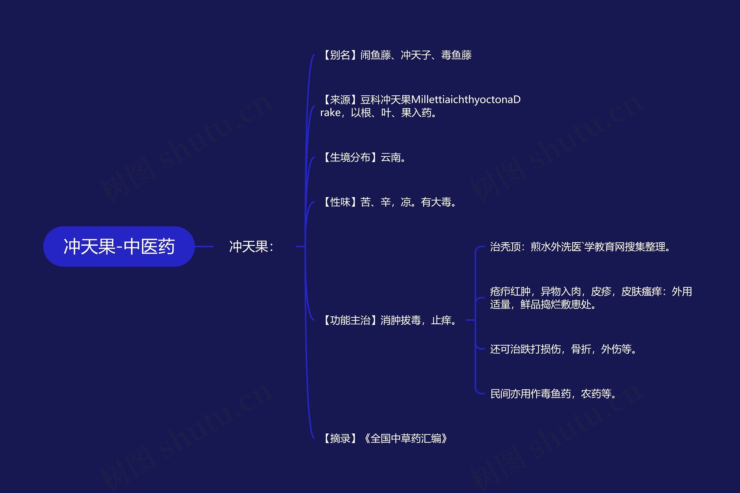 冲天果-中医药思维导图