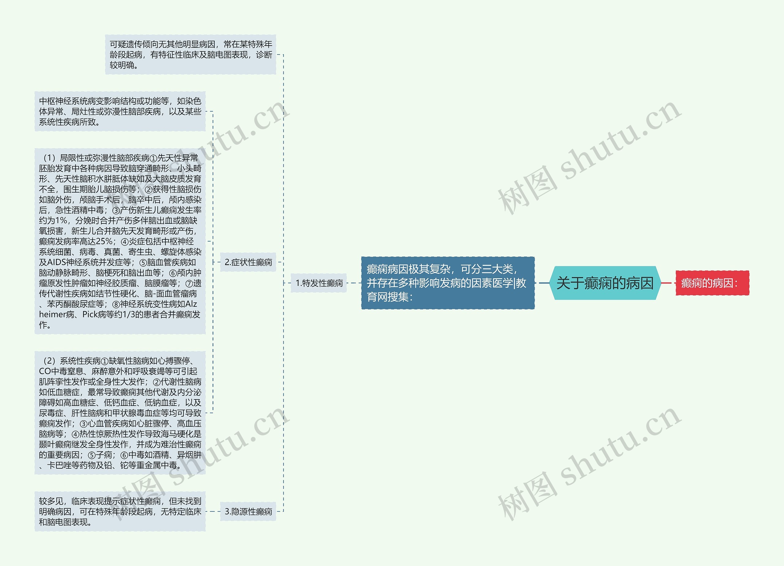 关于癫痫的病因思维导图