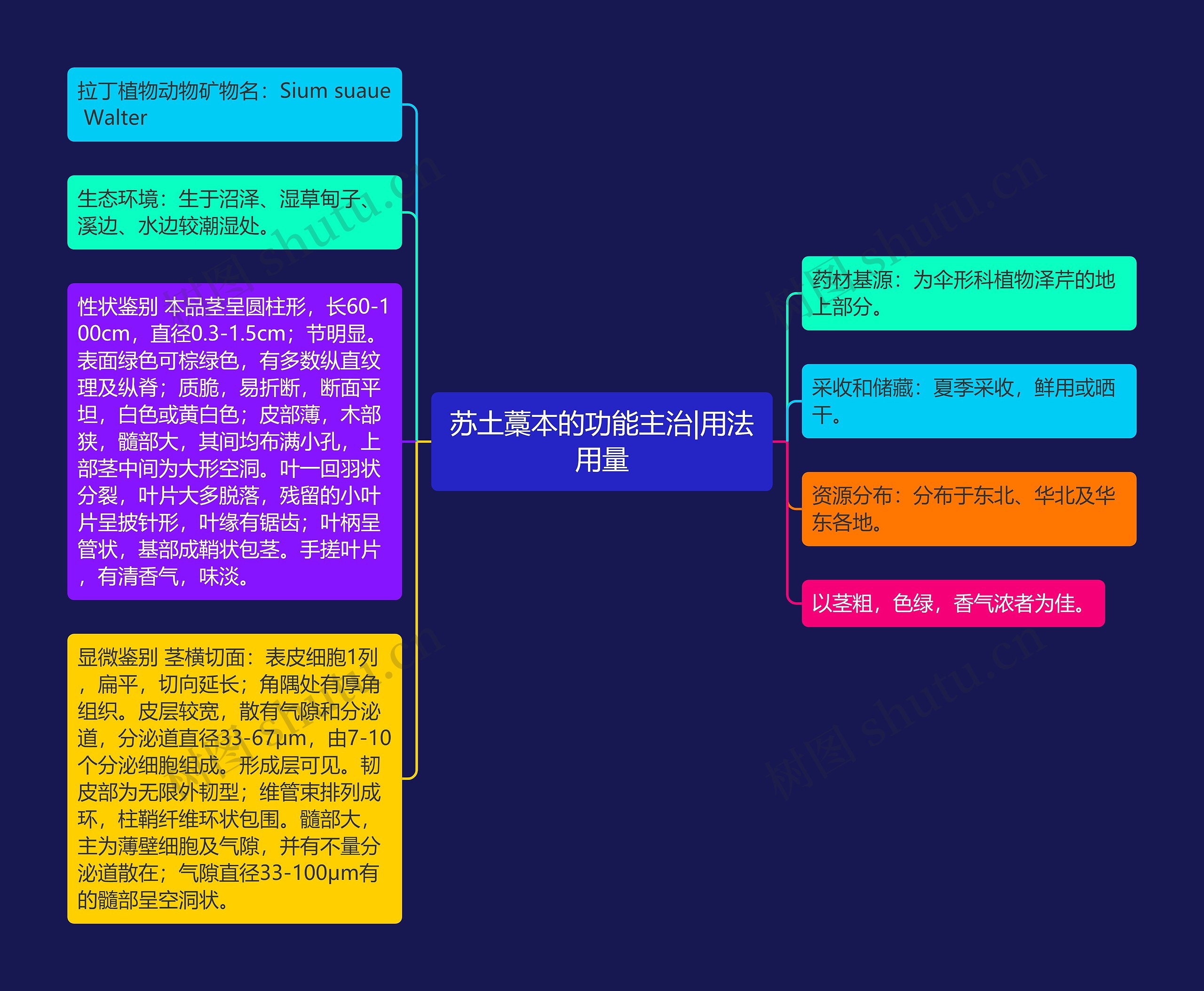 苏土藁本的功能主治|用法用量 苏土藁本的功能主治|用法用量