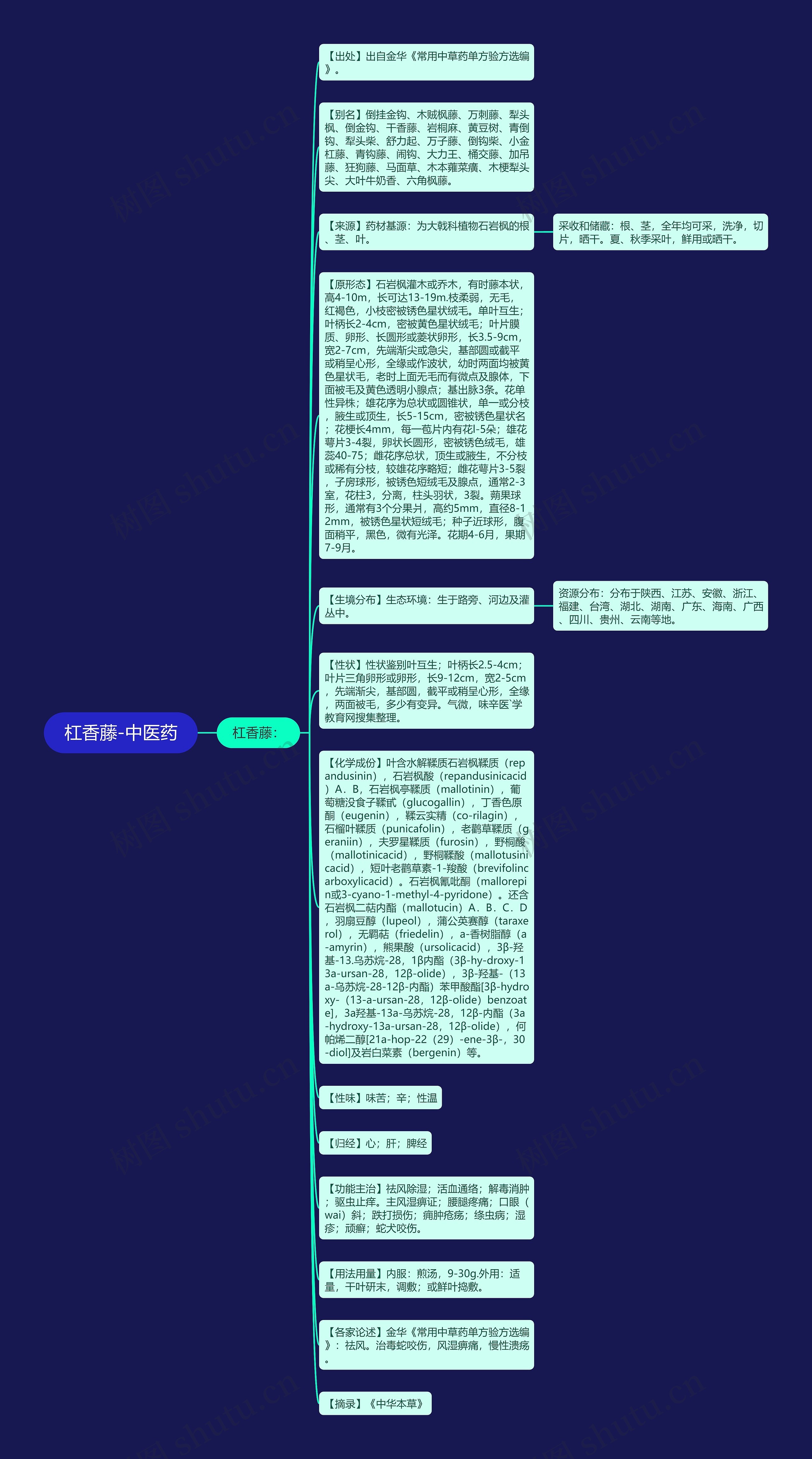杠香藤-中医药思维导图