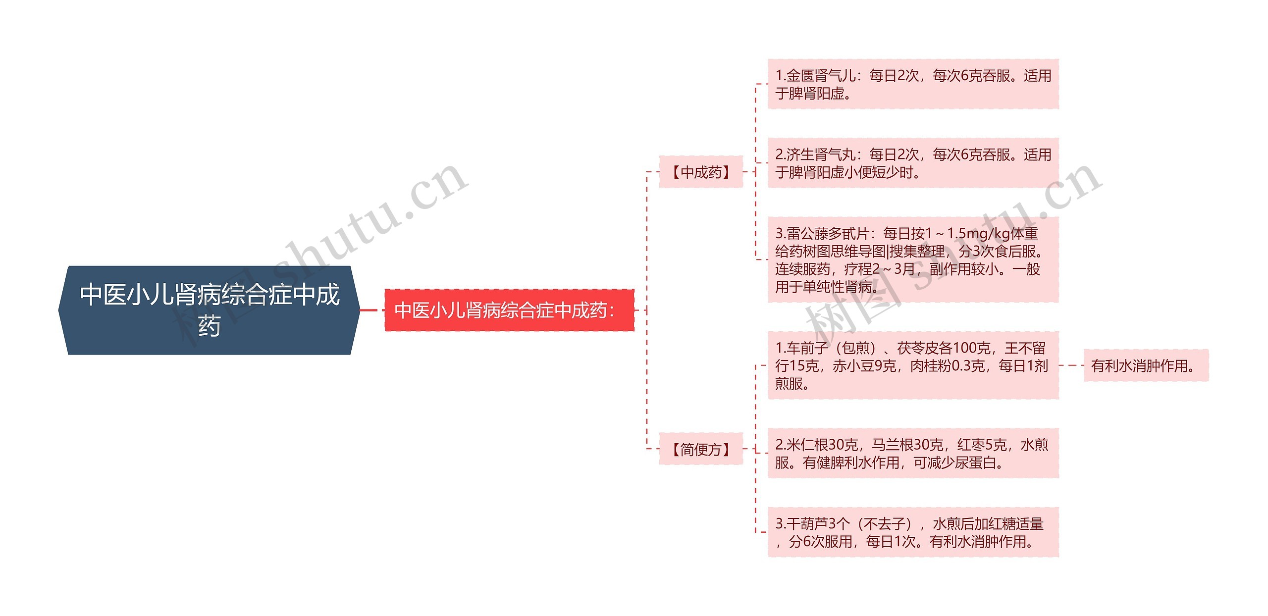 中医小儿肾病综合症中成药思维导图