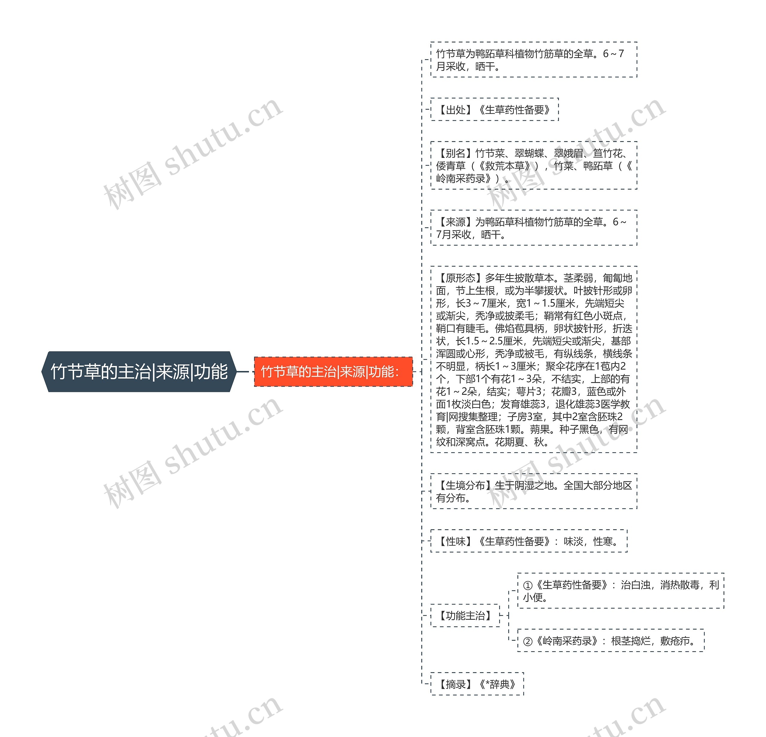 竹节草的主治|来源|功能 竹节草的主治|来源|功能
