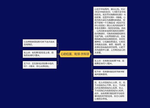 心的位置、毗邻-外科学