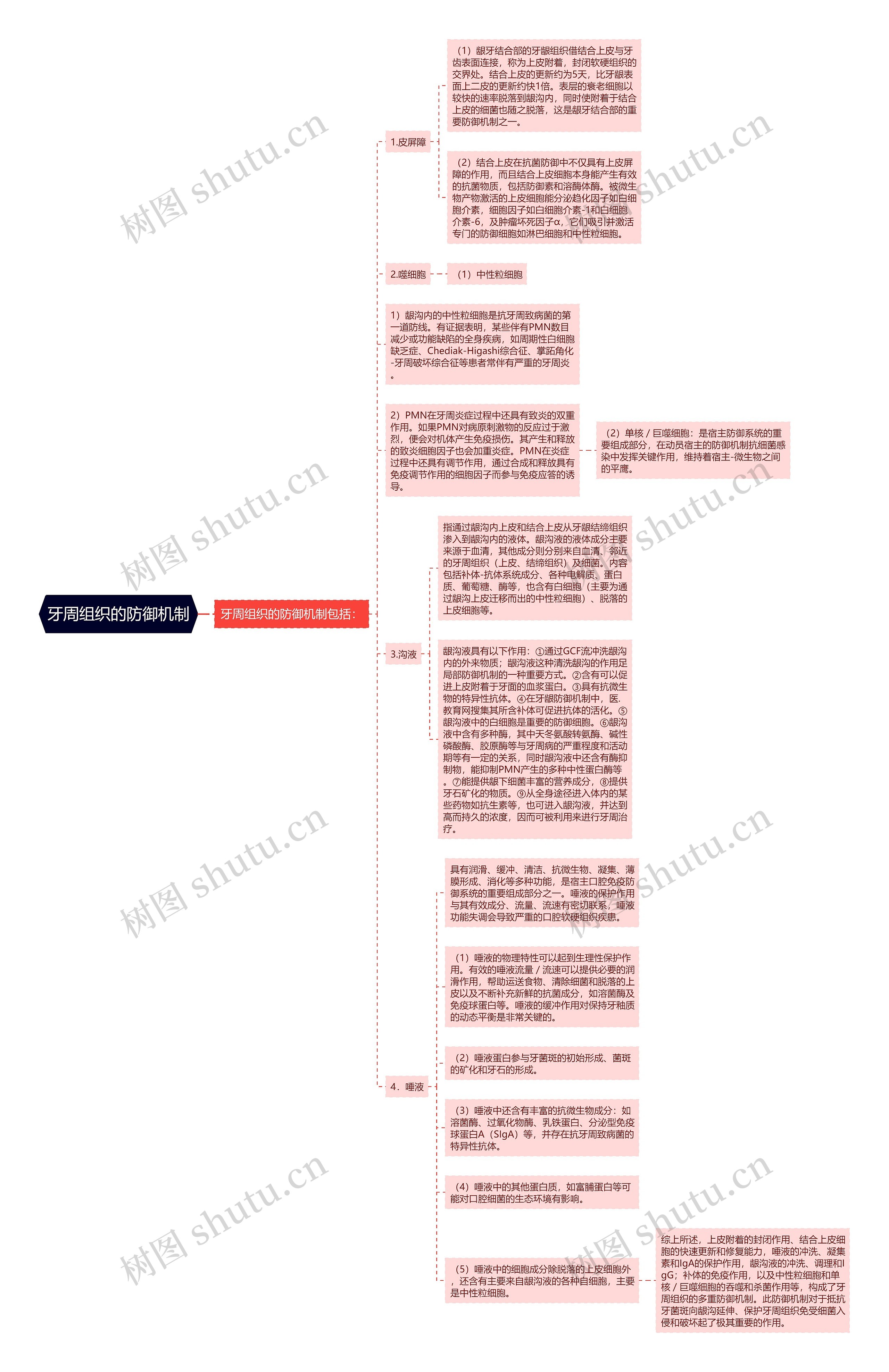 牙周组织的防御机制思维导图