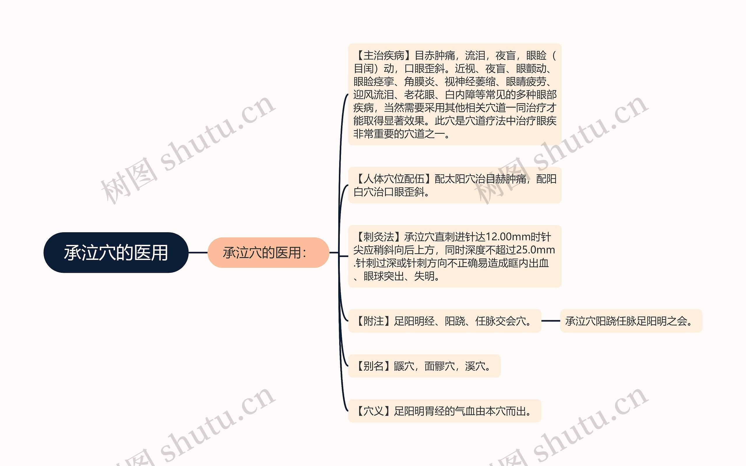 承泣穴的医用思维导图