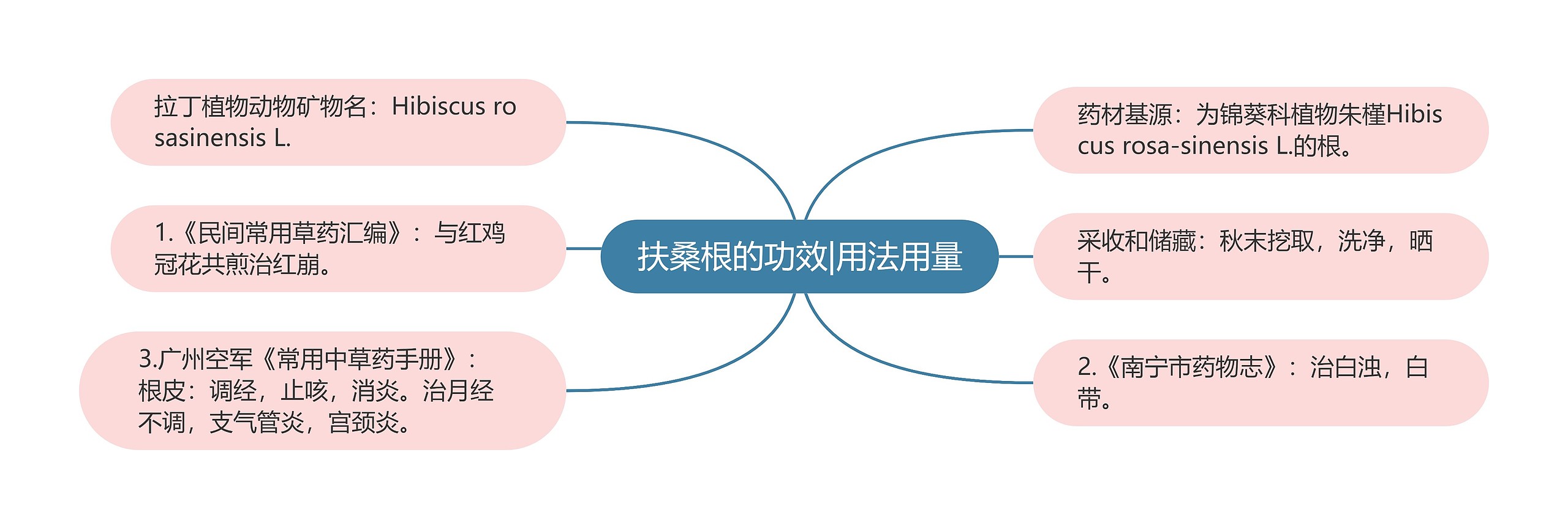 扶桑根的功效|用法用量思维导图