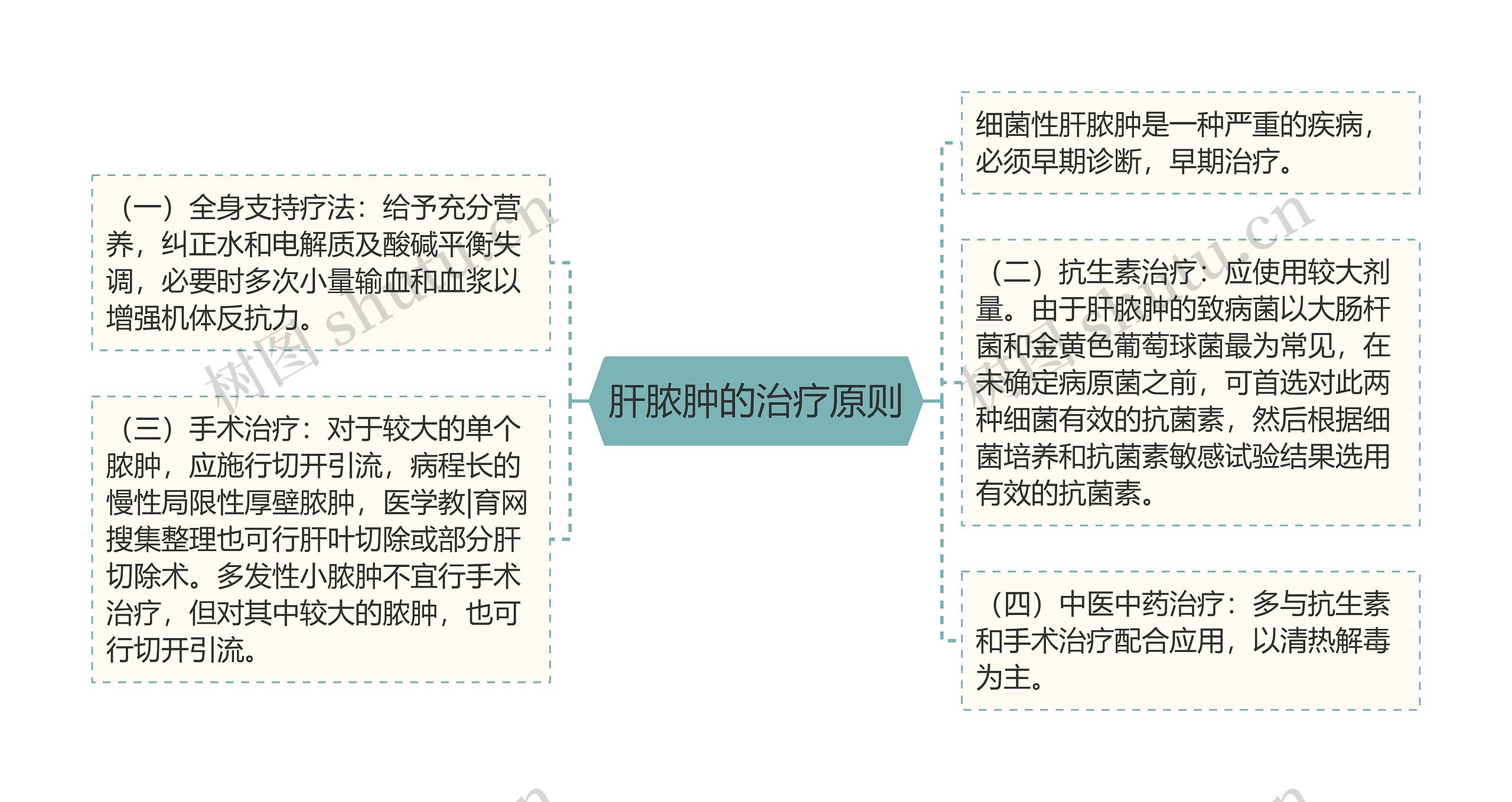 肝脓肿的治疗原则思维导图