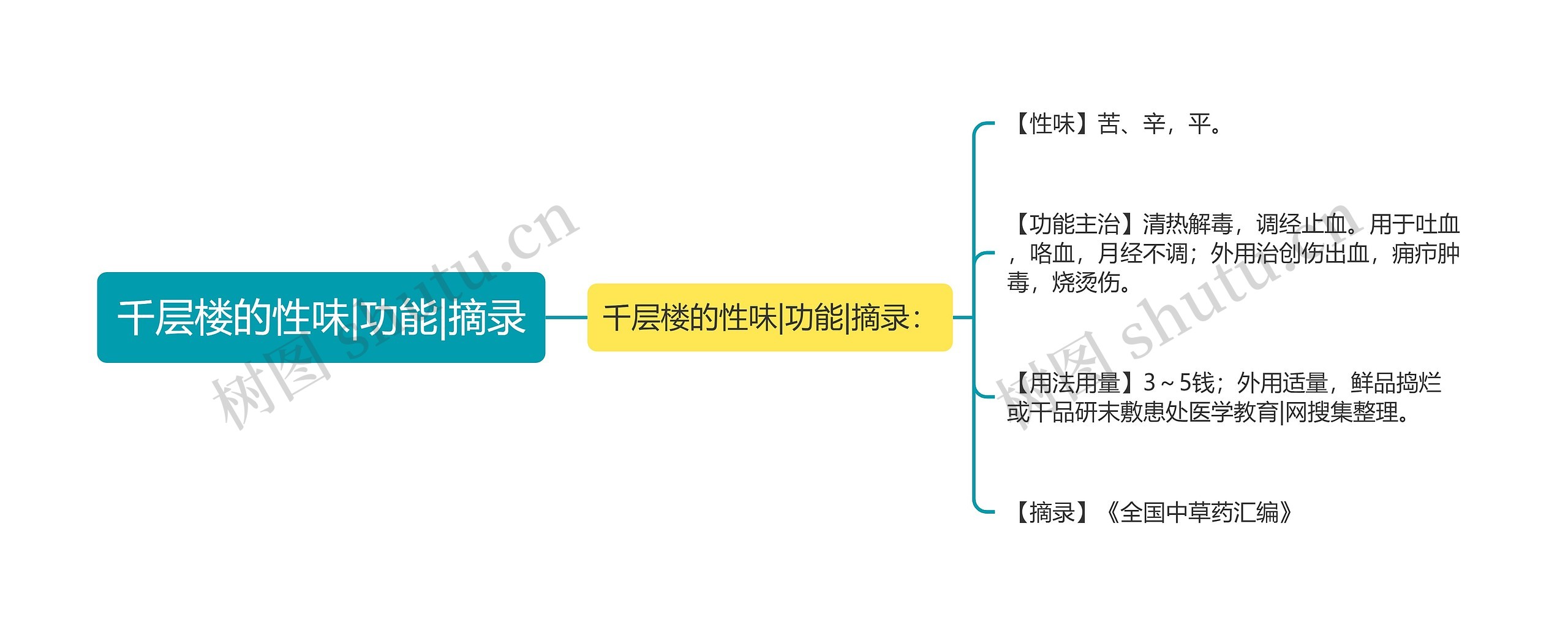 千层楼的性味|功能|摘录思维导图