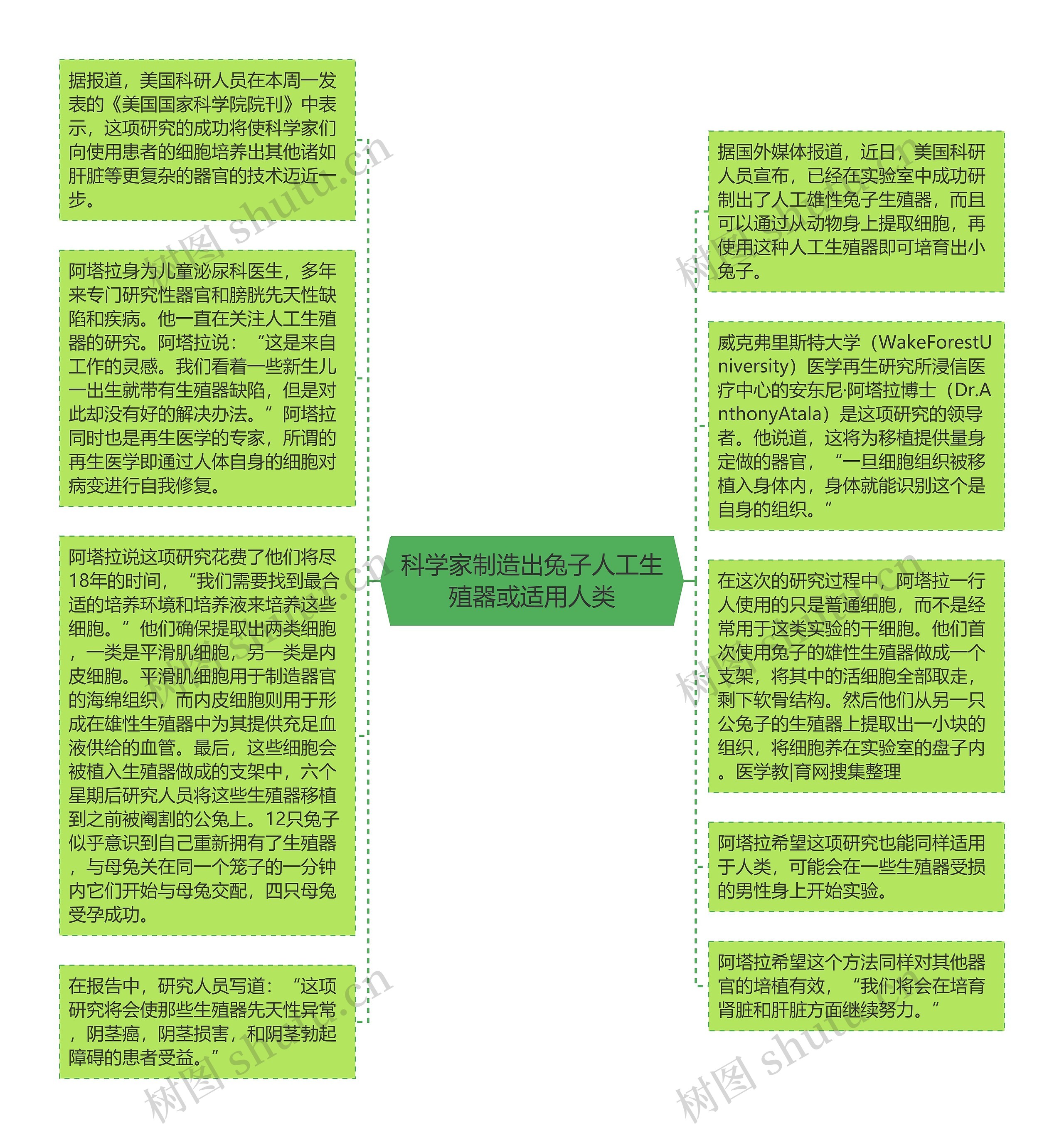 科学家制造出兔子人工生殖器或适用人类