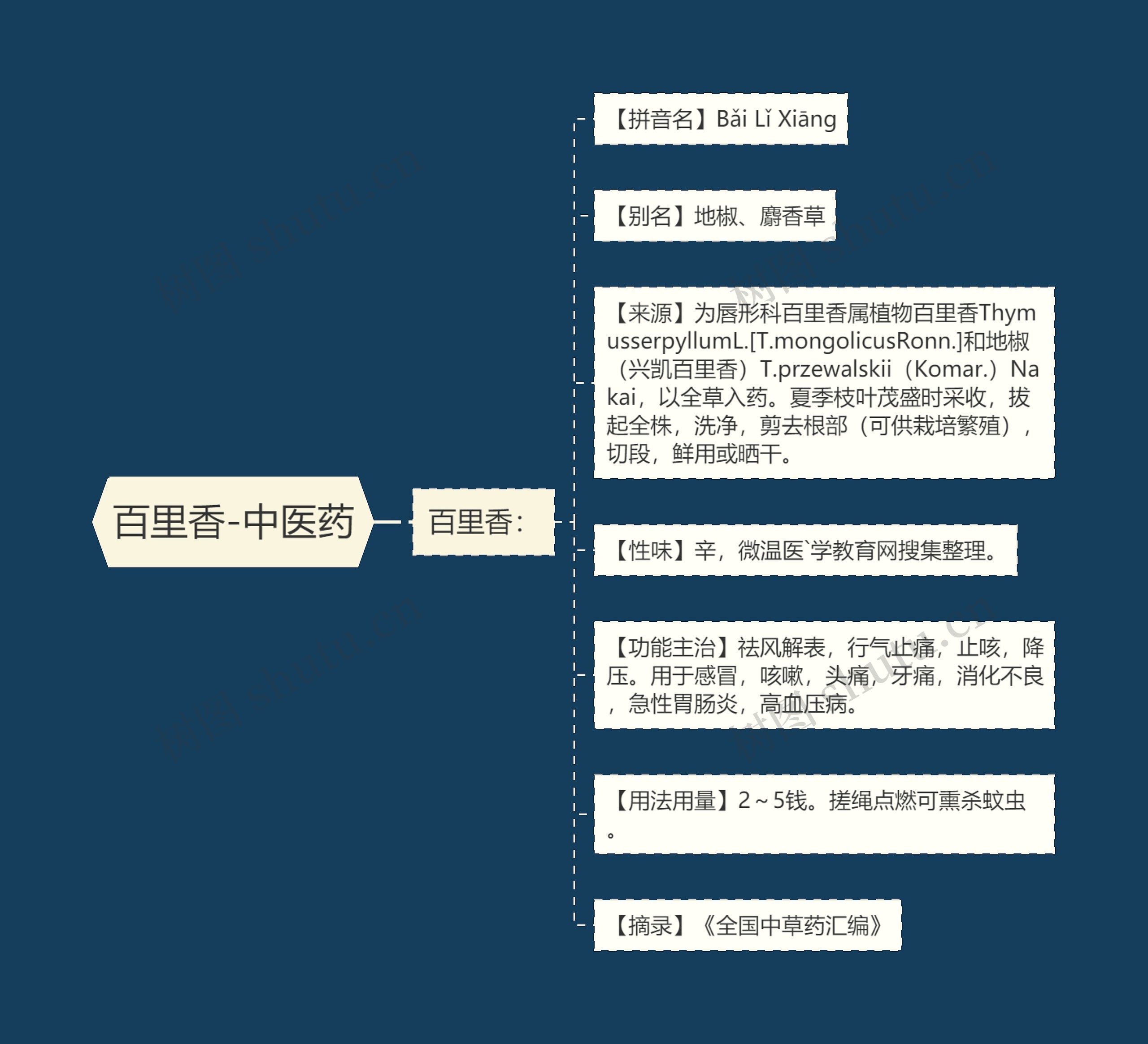 百里香-中医药 百里香-中医药