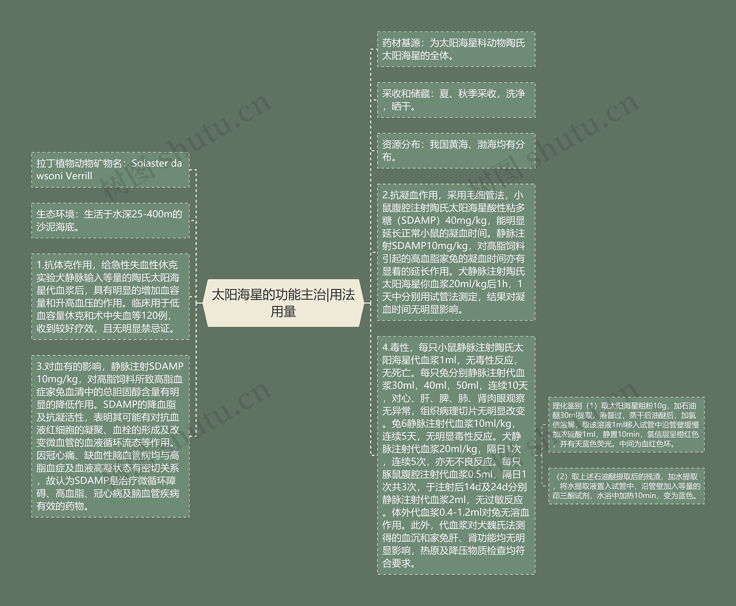 太阳海星的功能主治|用法用量