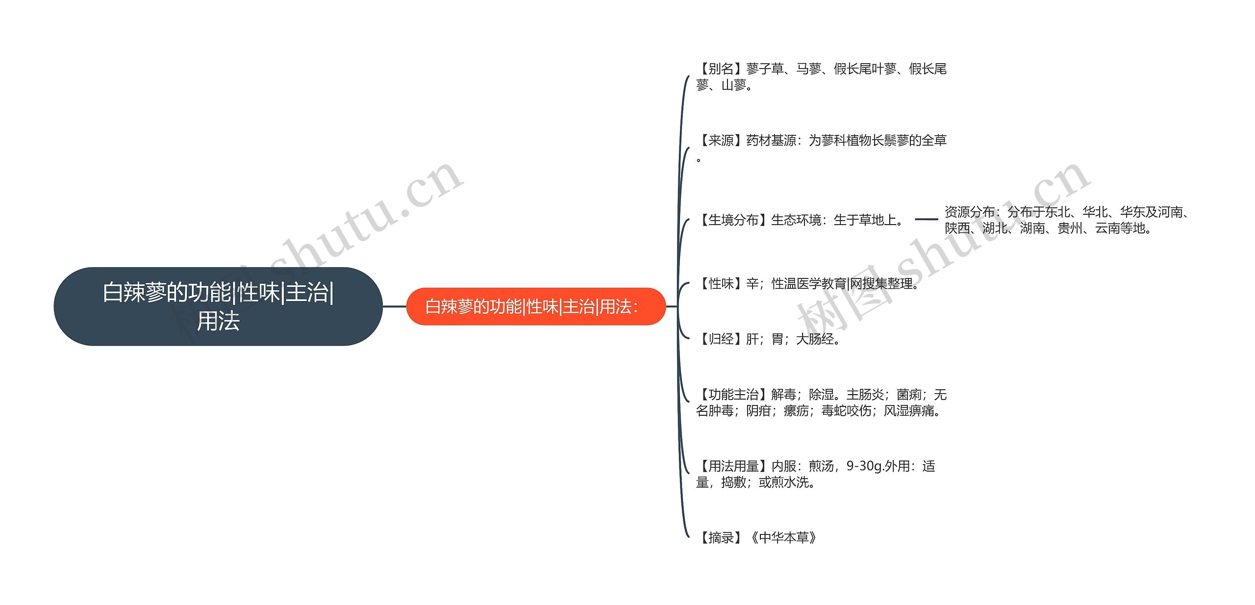 白辣蓼的功能|性味|主治|用法思维导图