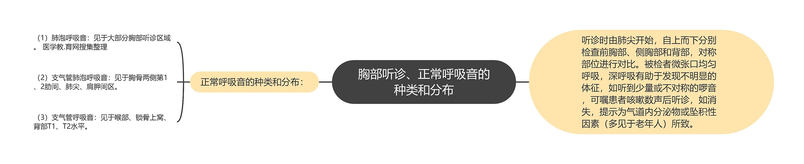胸部听诊、正常呼吸音的种类和分布 胸部听诊、正常呼吸音的种类和分布