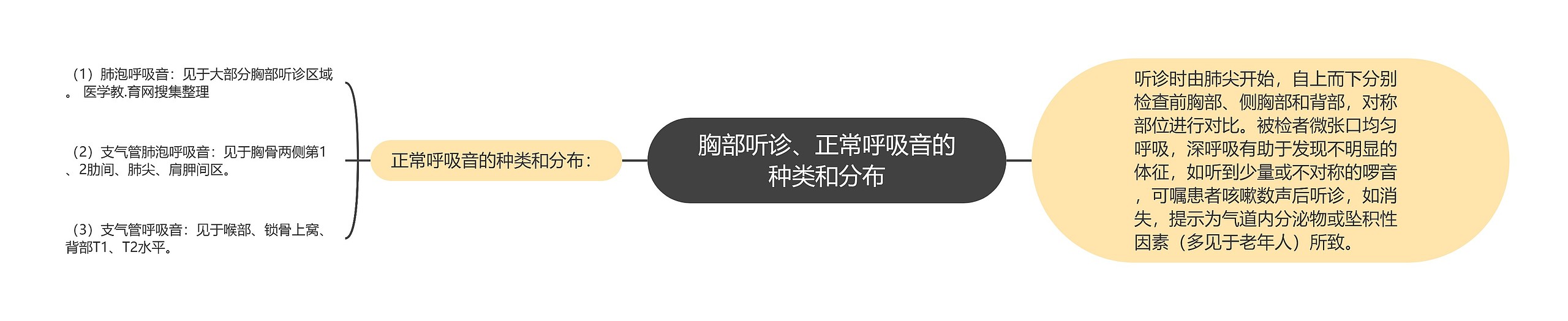 胸部听诊、正常呼吸音的种类和分布思维导图