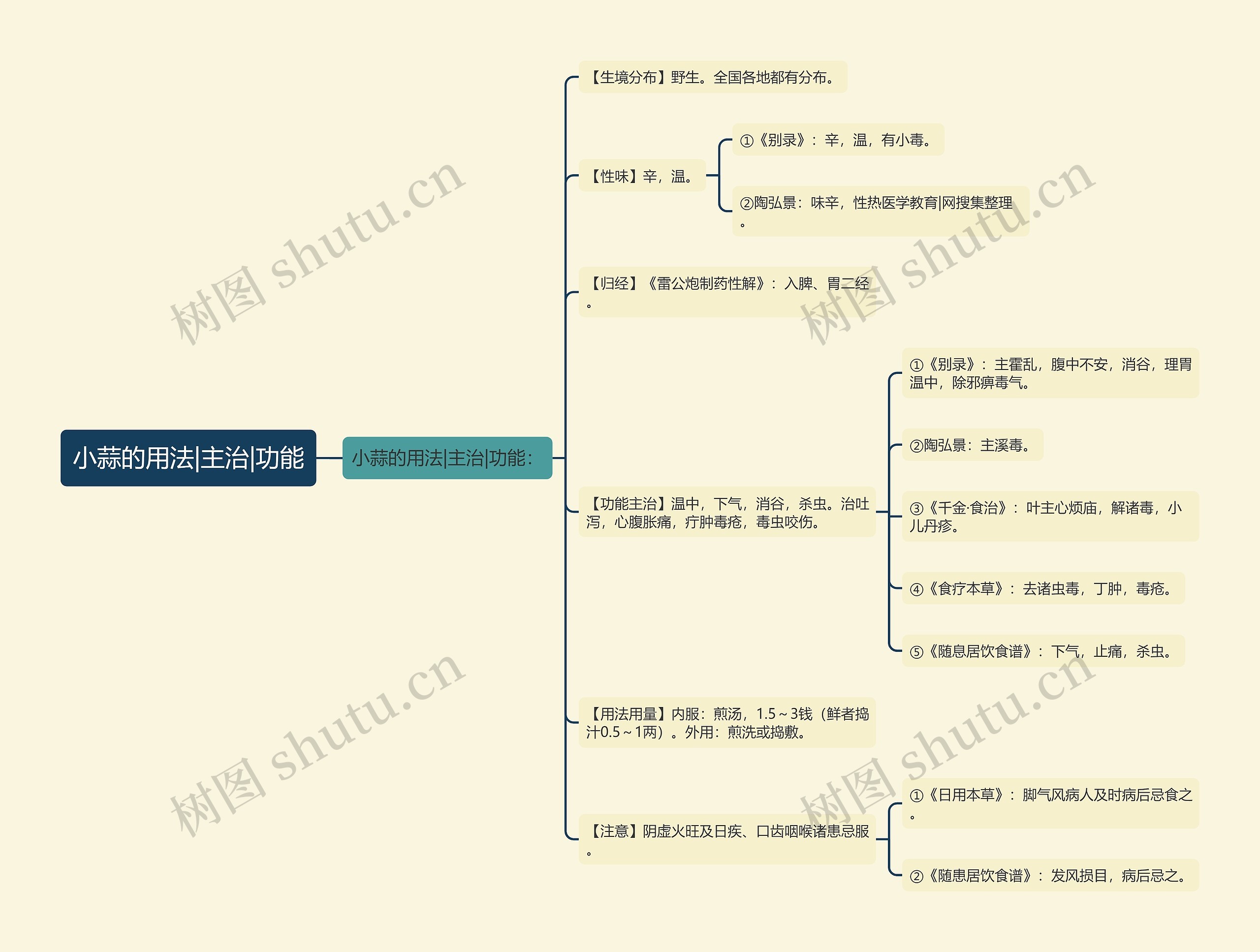 小蒜的用法|主治|功能思维导图