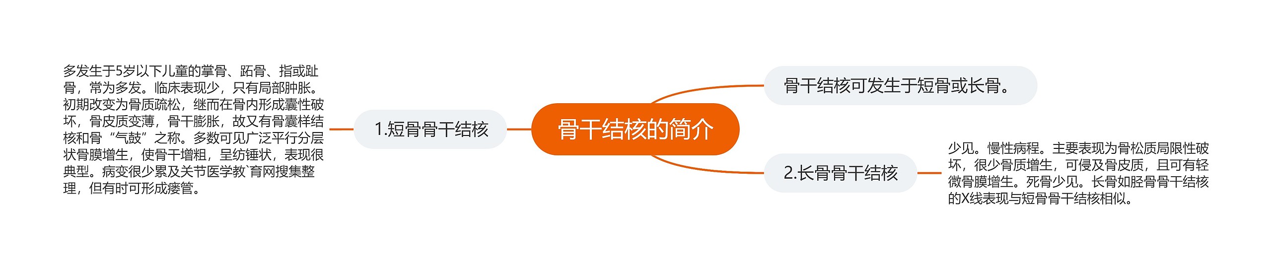 骨干结核的简介 骨干结核的简介